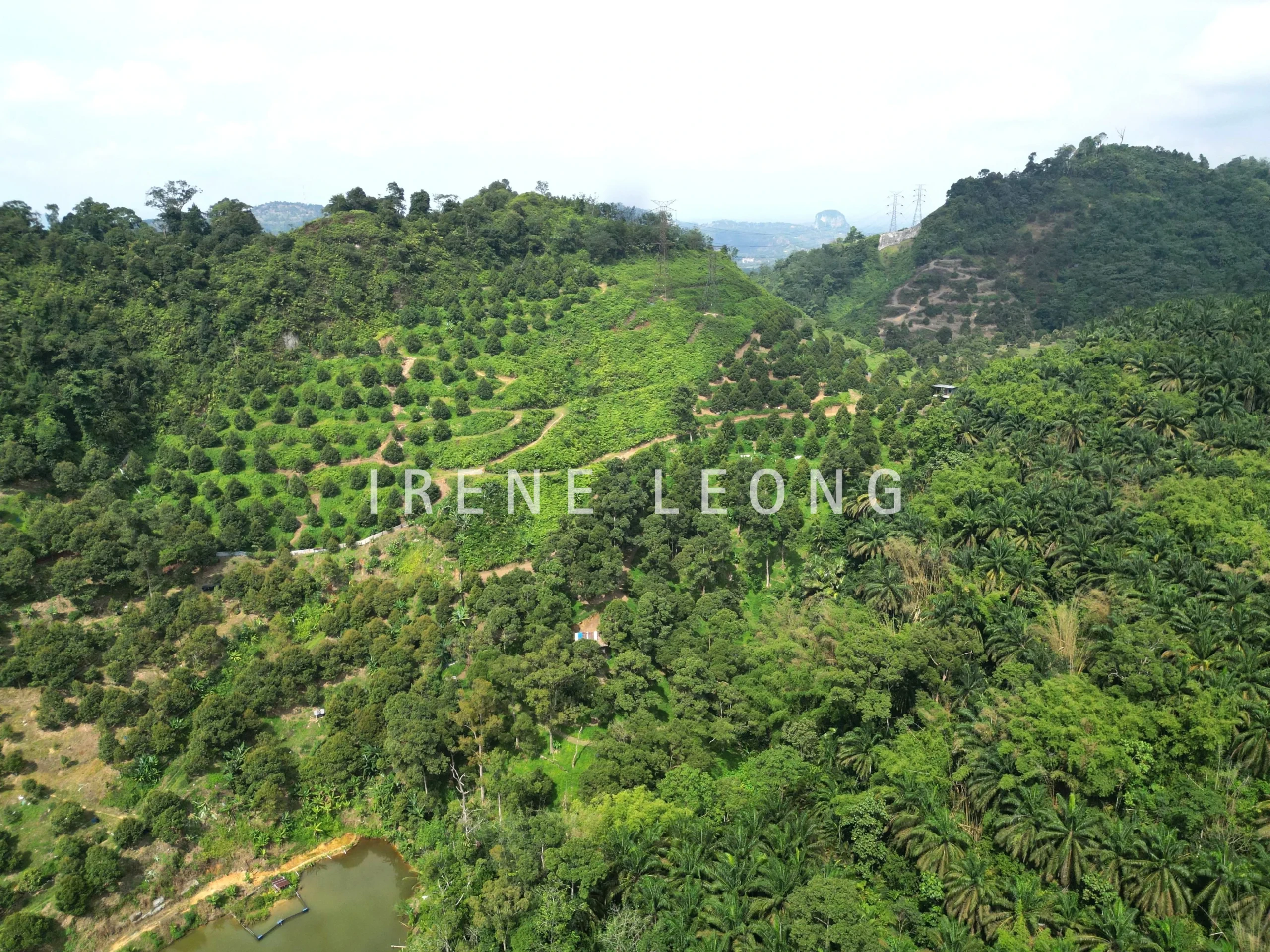 DJI_0622