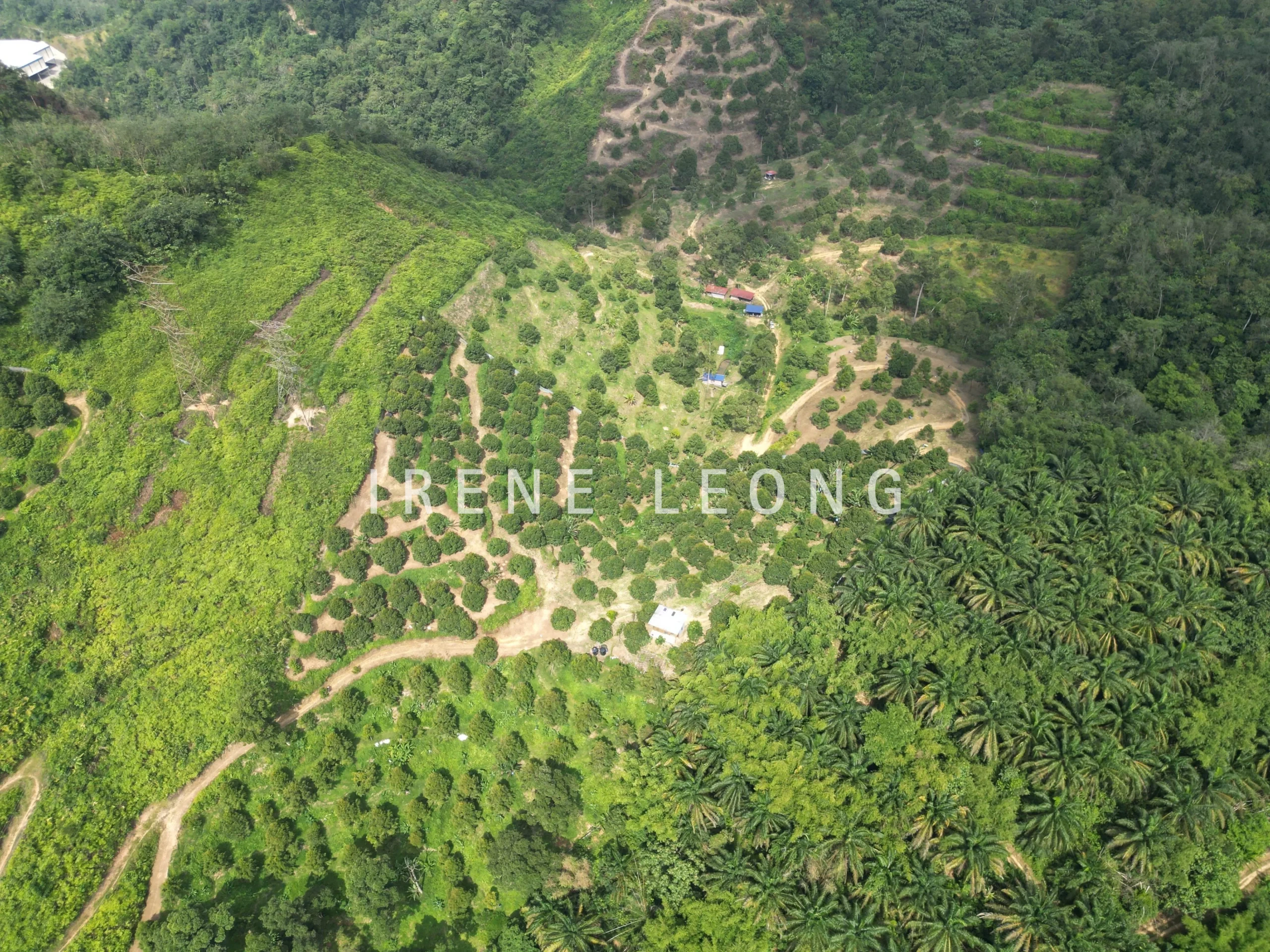 DJI_0625