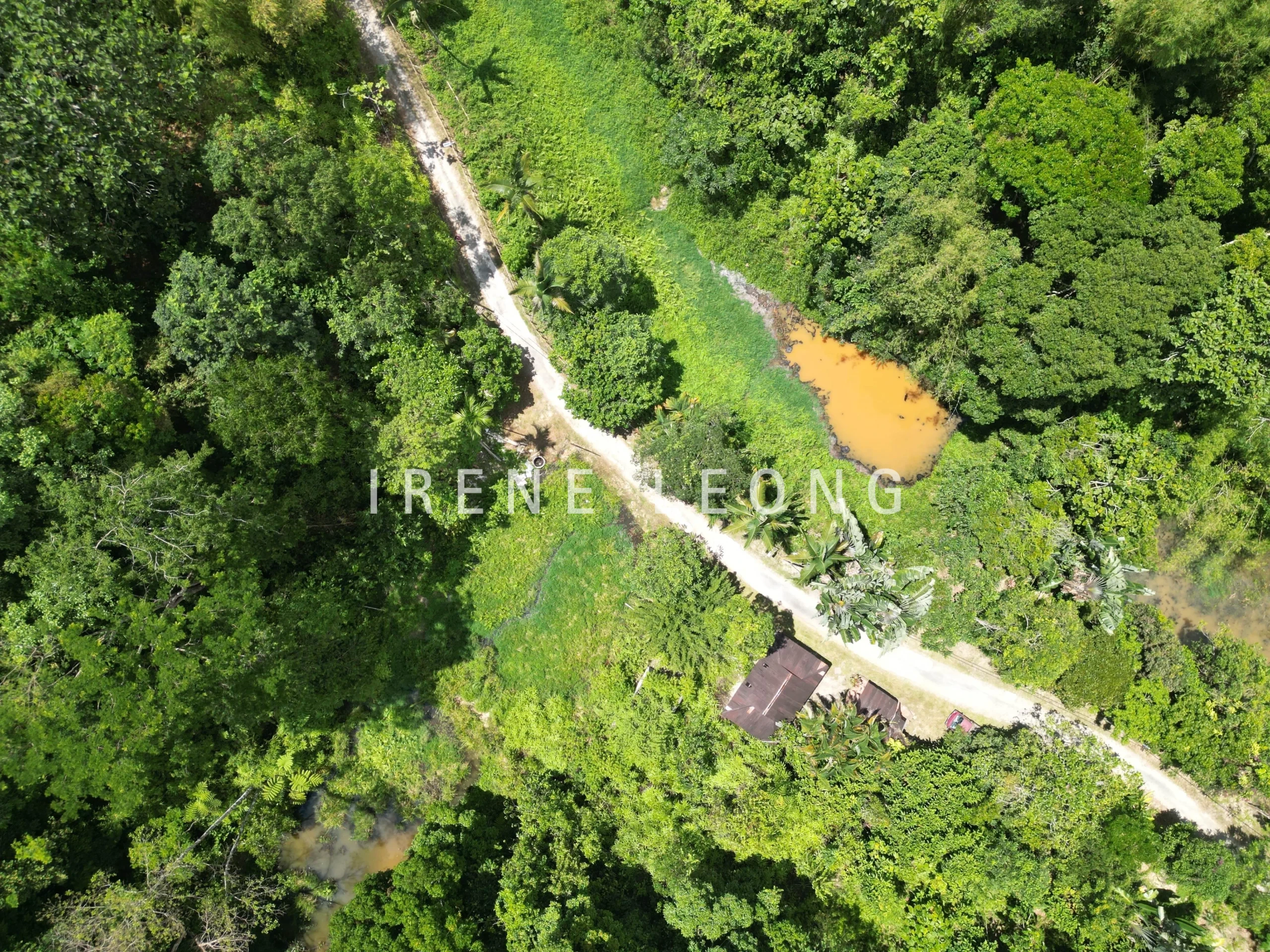 DJI_0641