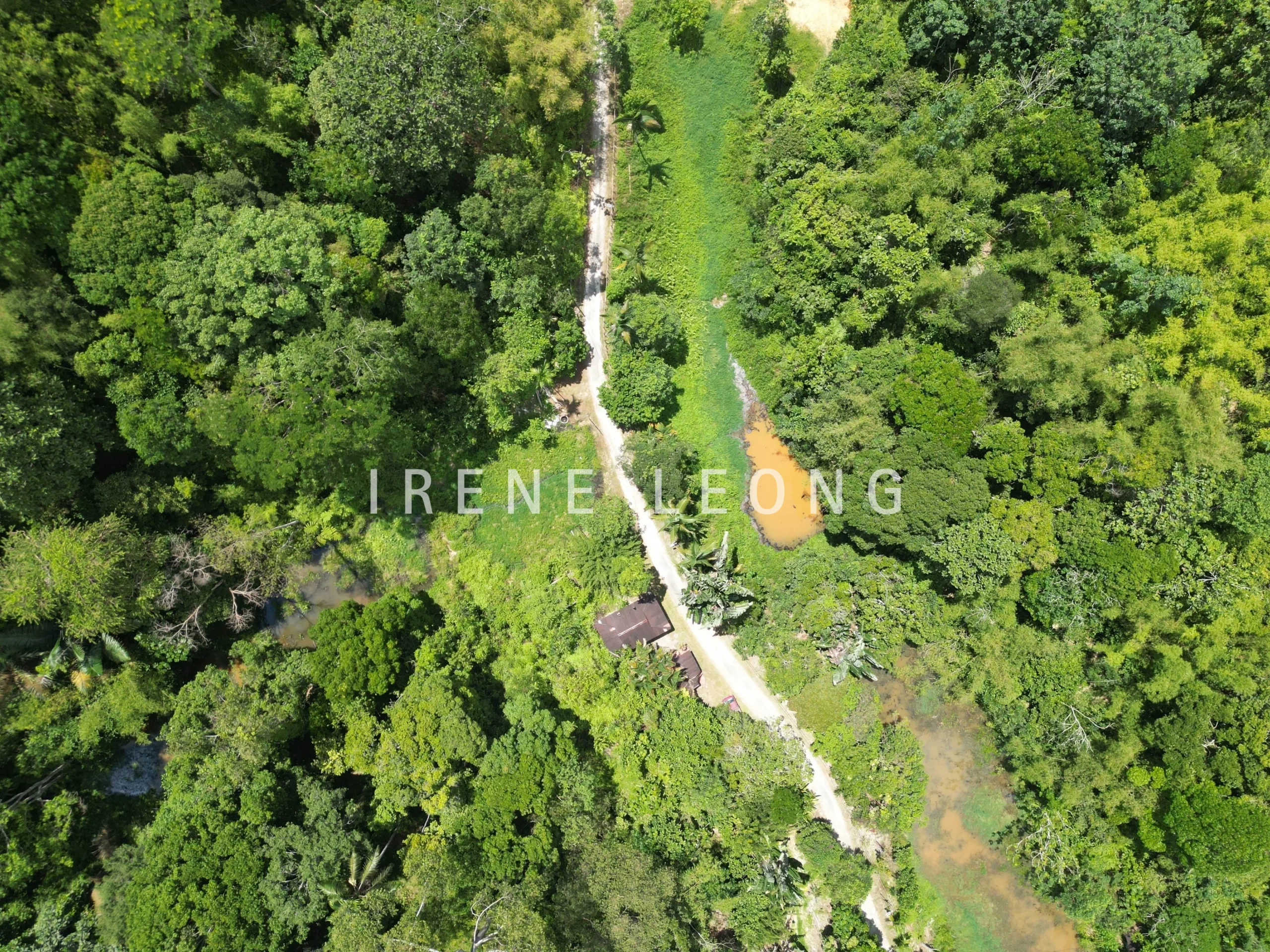 DJI_0642