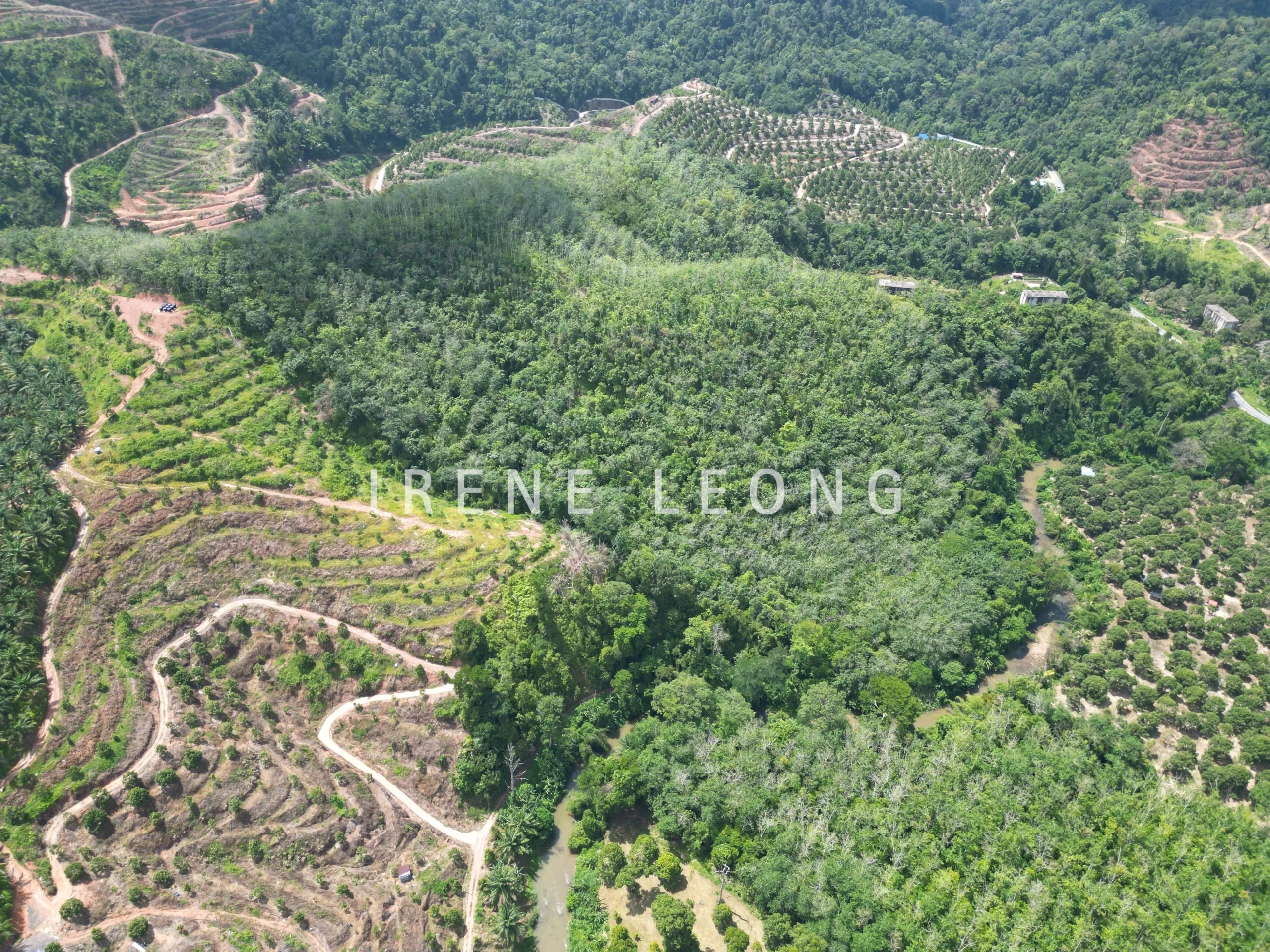 DJI_0701-crushimage
