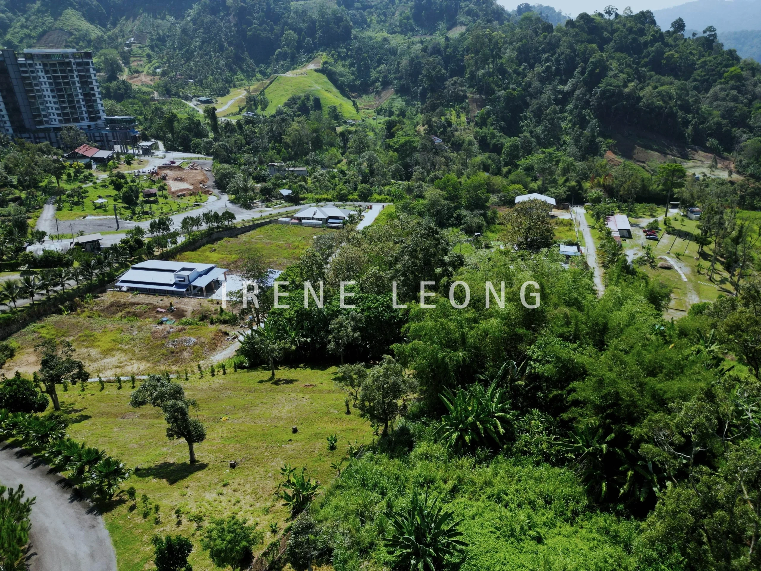 DJI_0772-crushimage