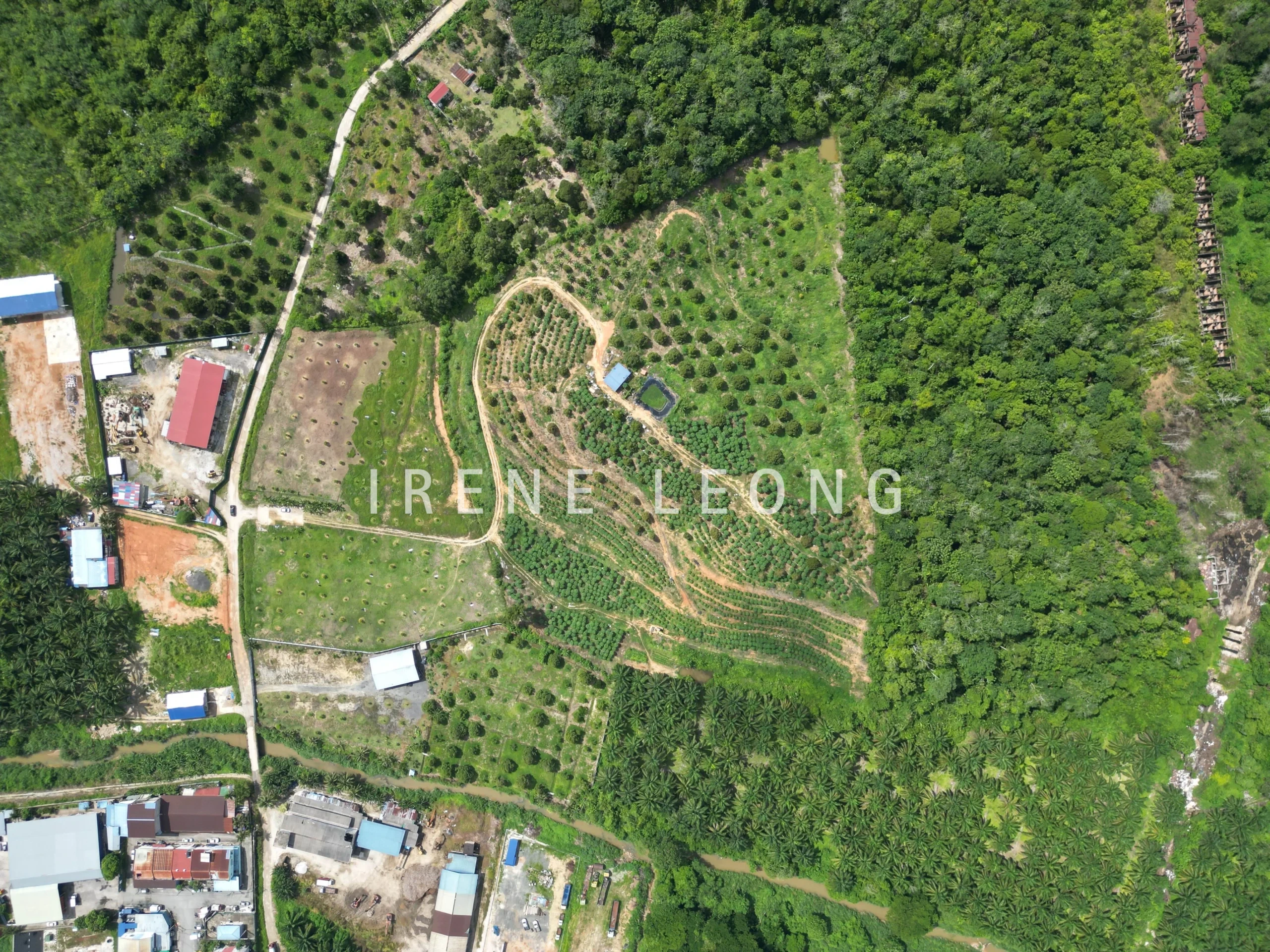 DJI_0795-crushimage