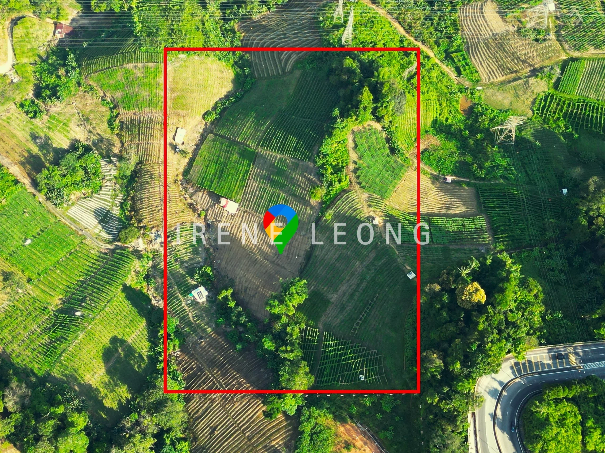DJI_0833--crushimage