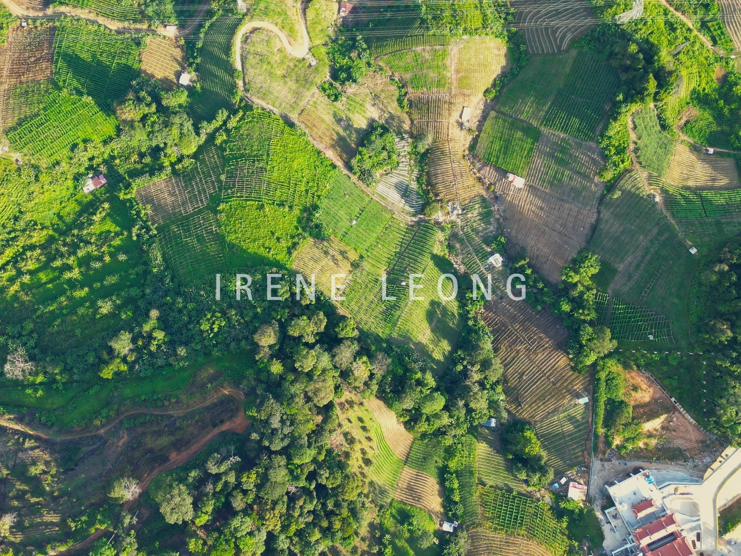 DJI_0845--crushimage
