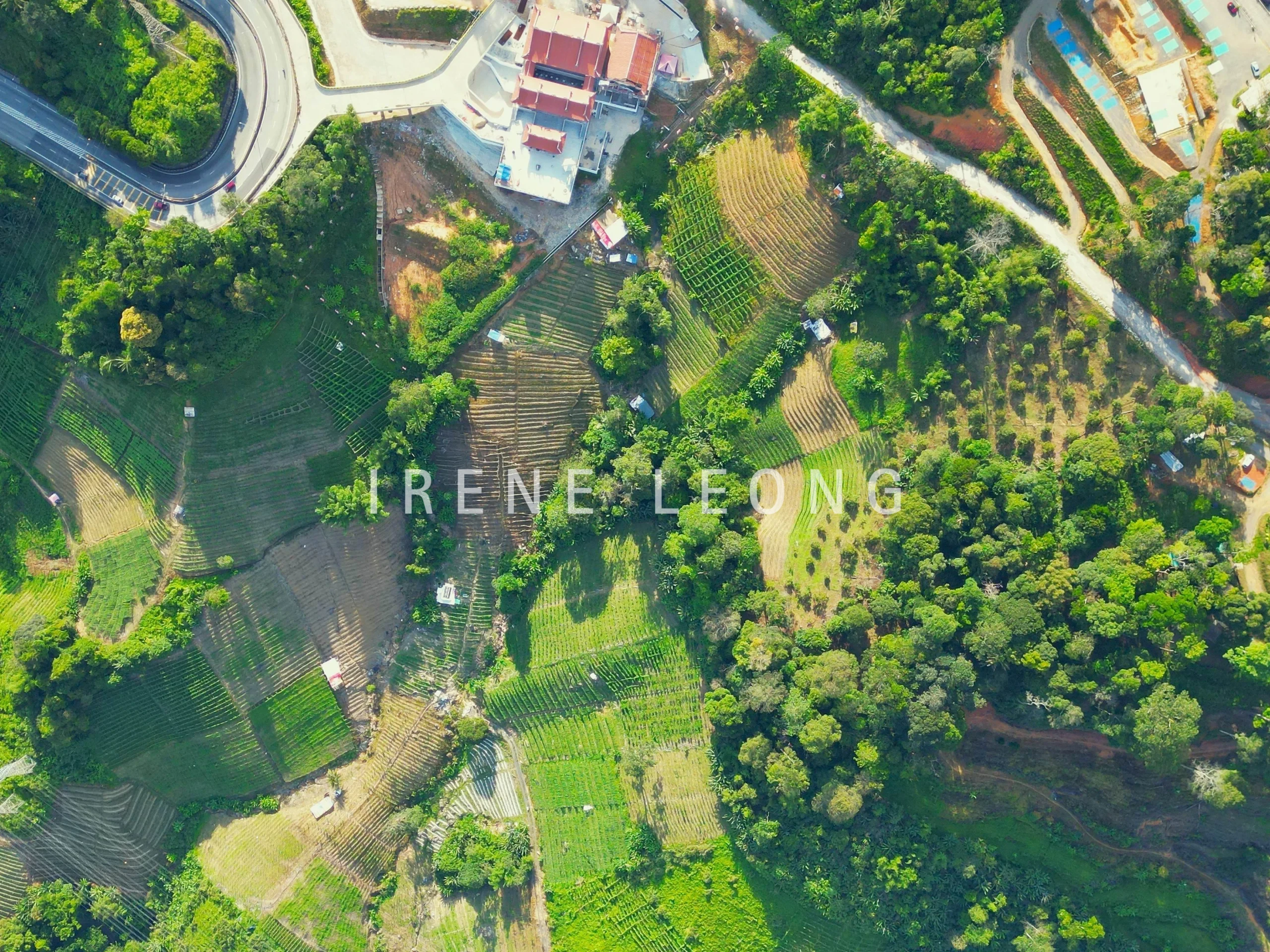 DJI_0849--crushimage