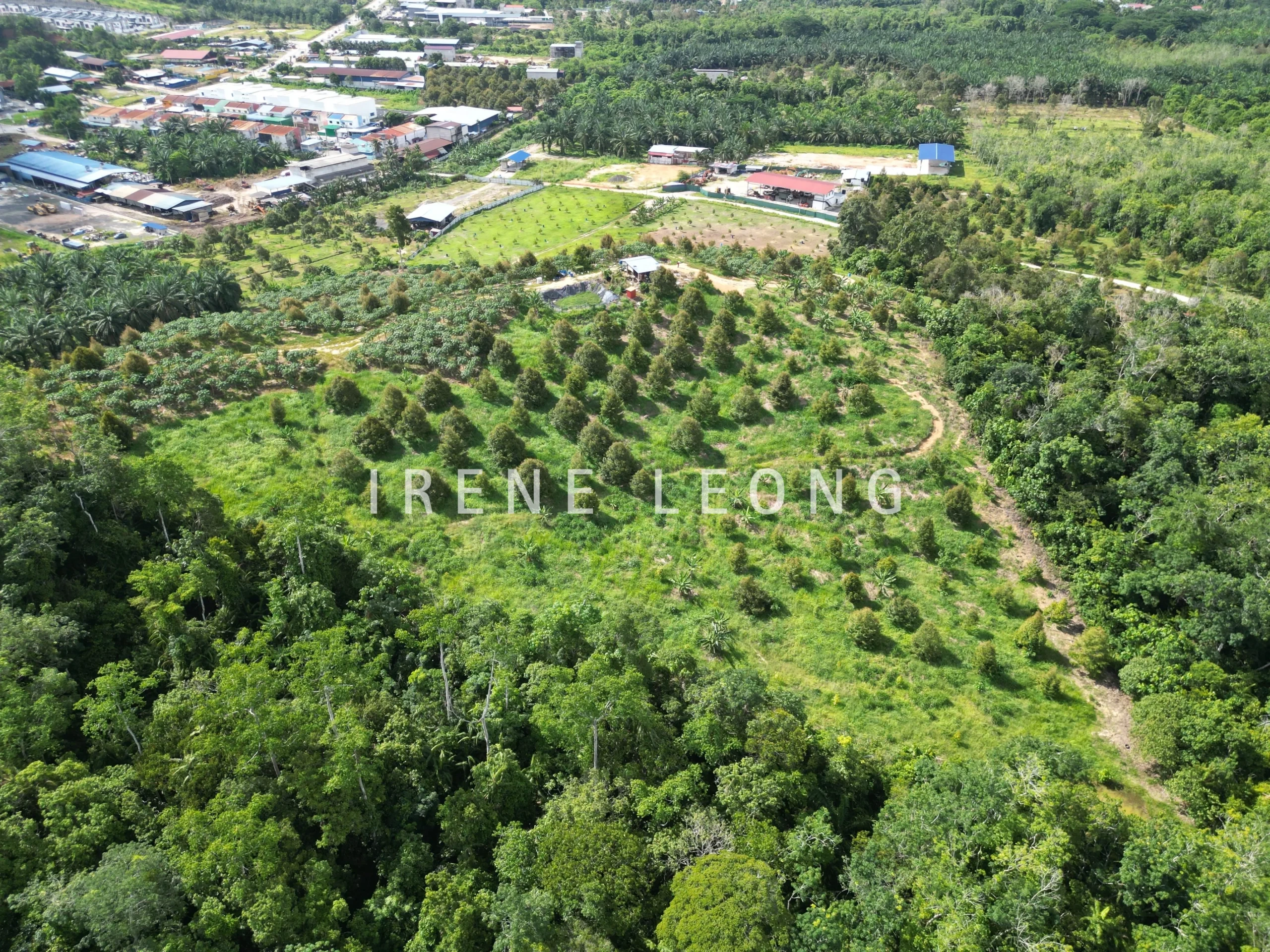 DJI_0889-crushimage