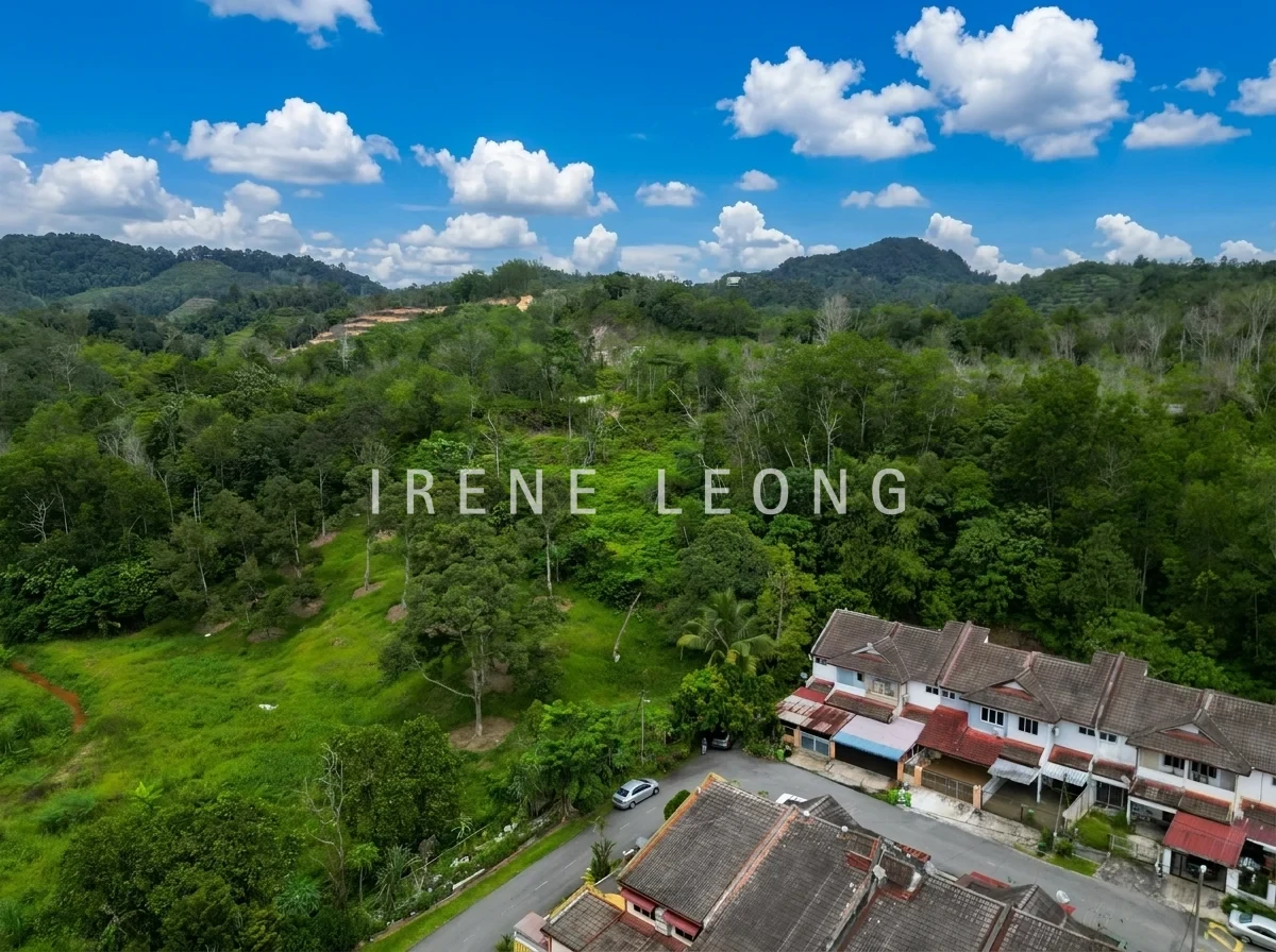 DJI_0908
