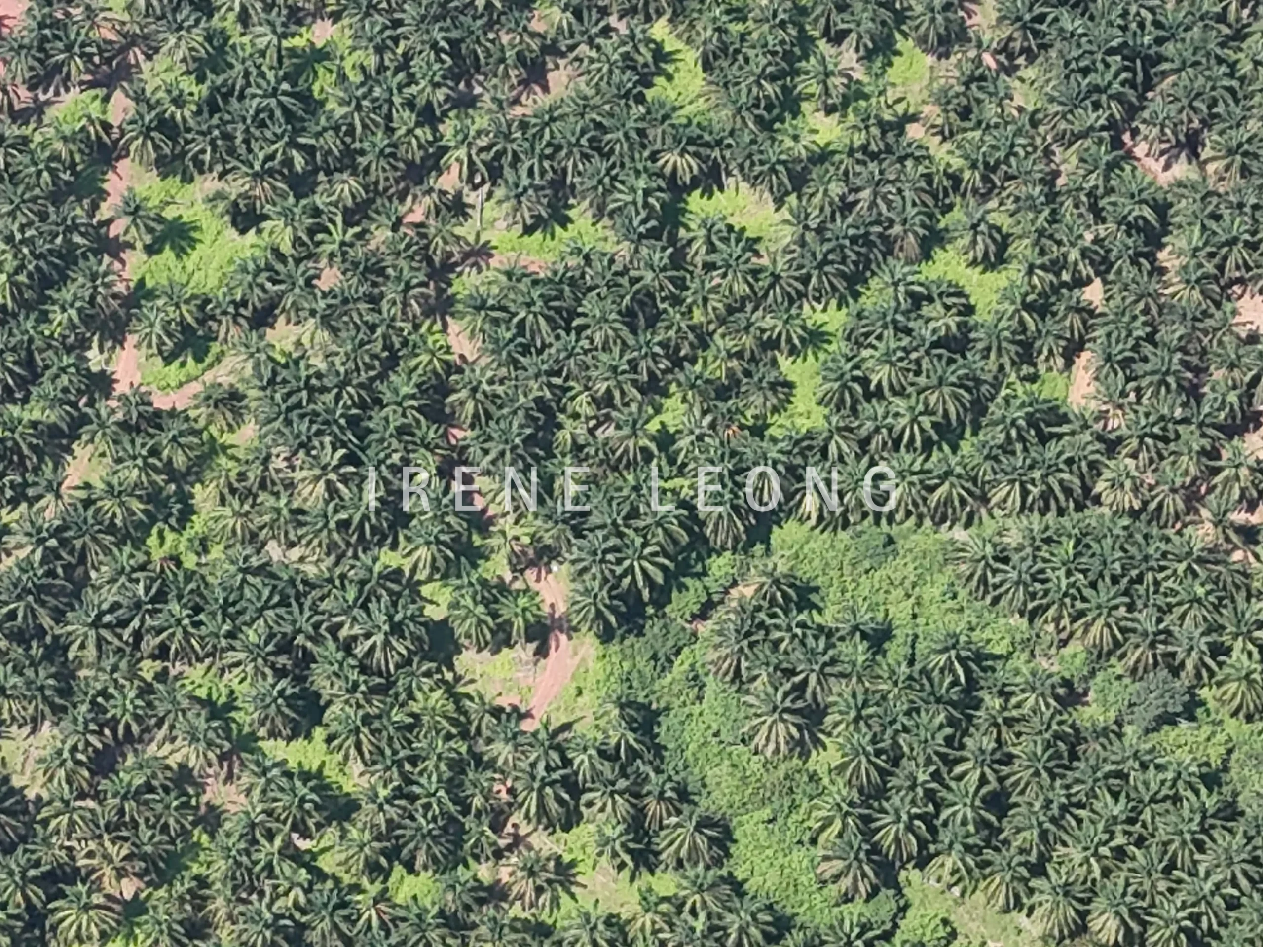 DJI_20250704114657_0075_D-min