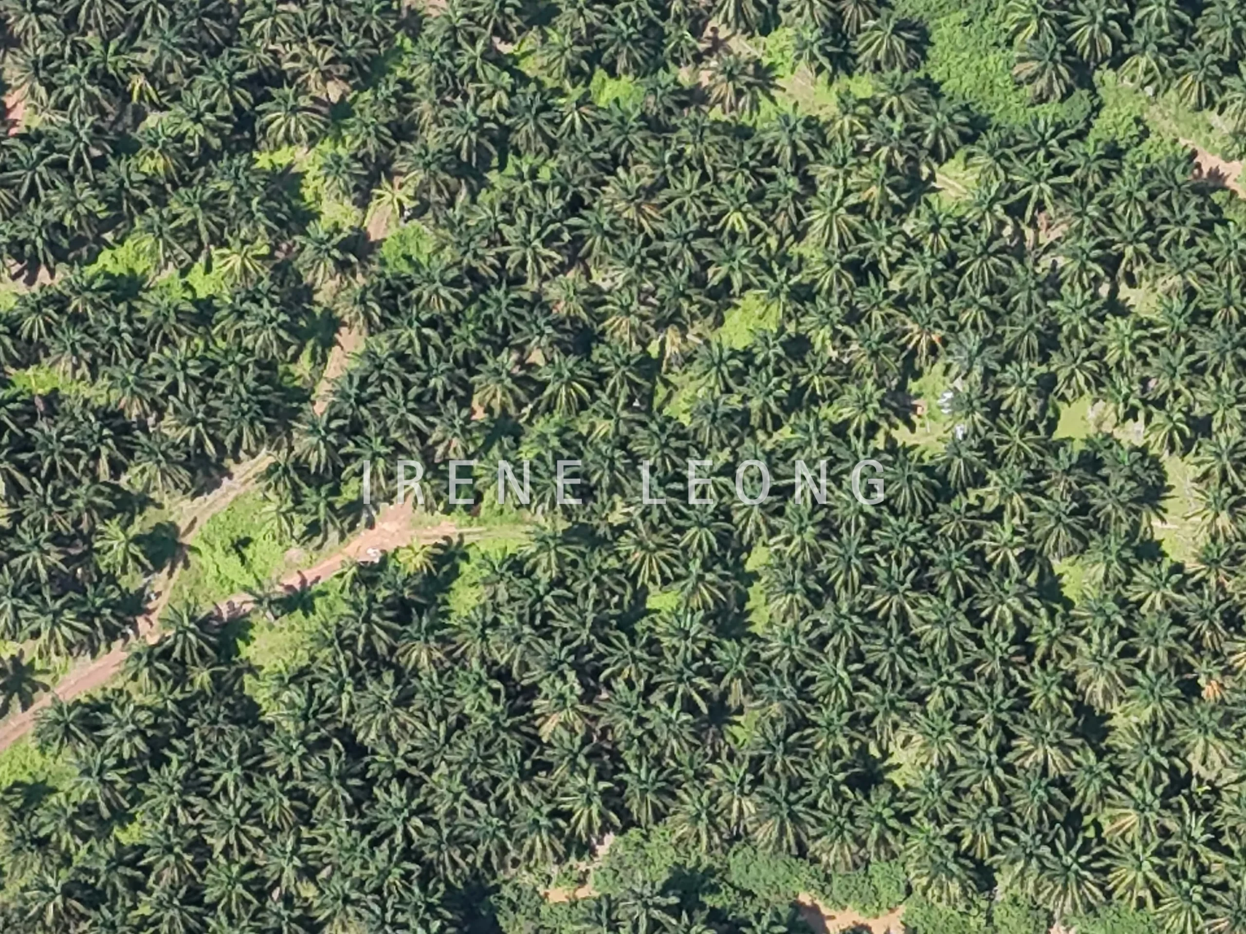 DJI_20250704114700_0076_D-min