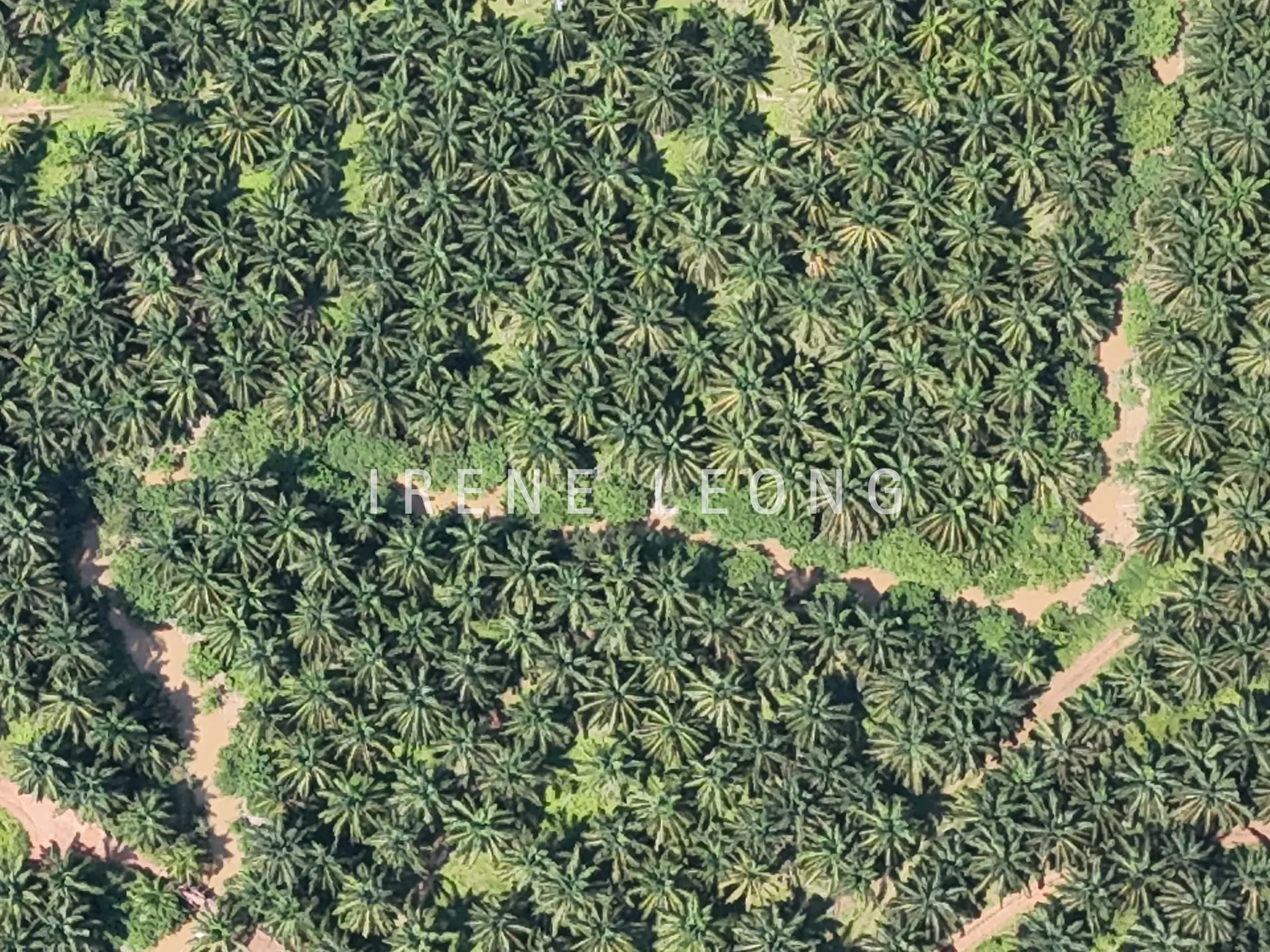 DJI_20250704114706_0077_D-min