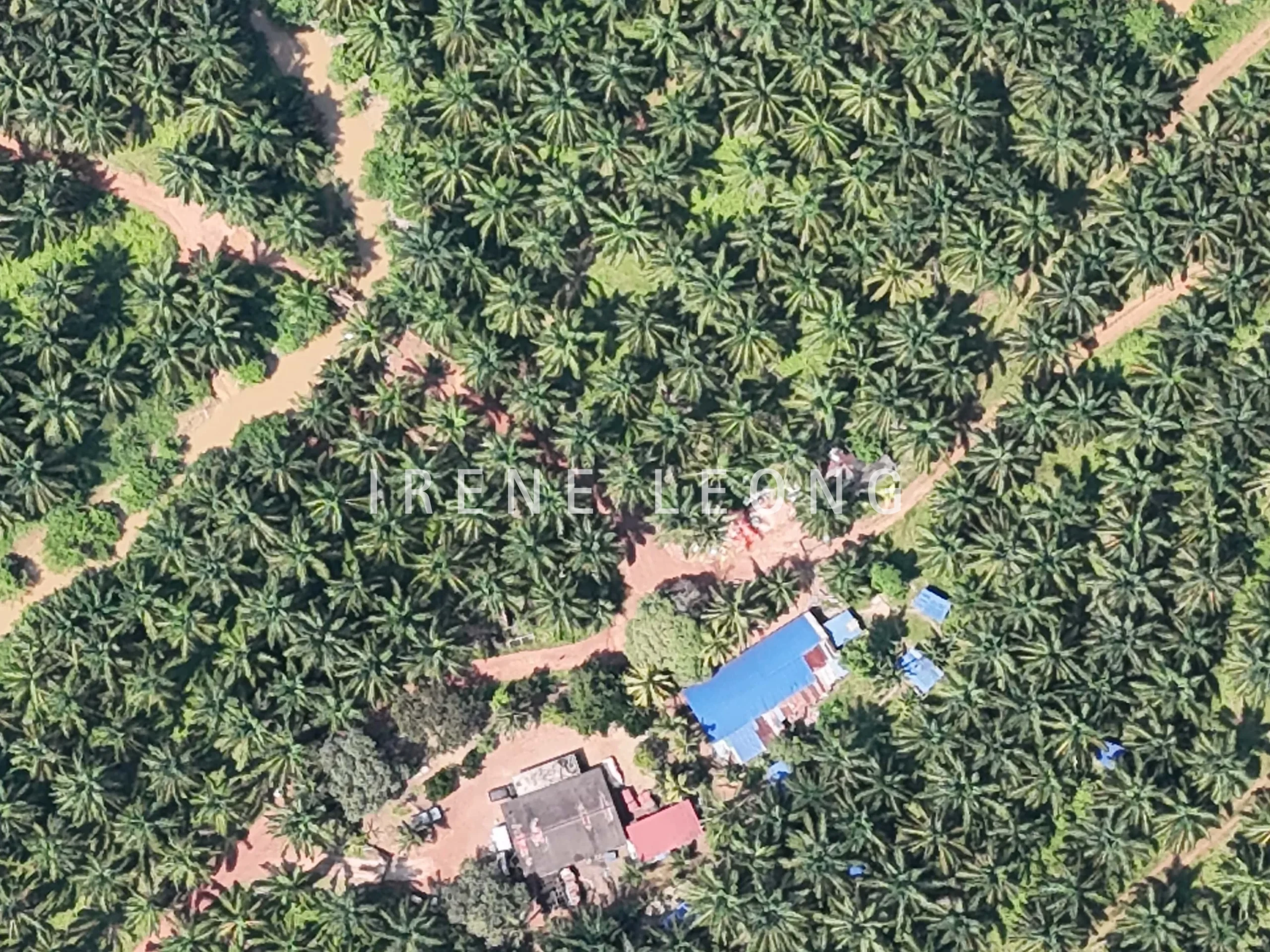 DJI_20250704114710_0078_D-min
