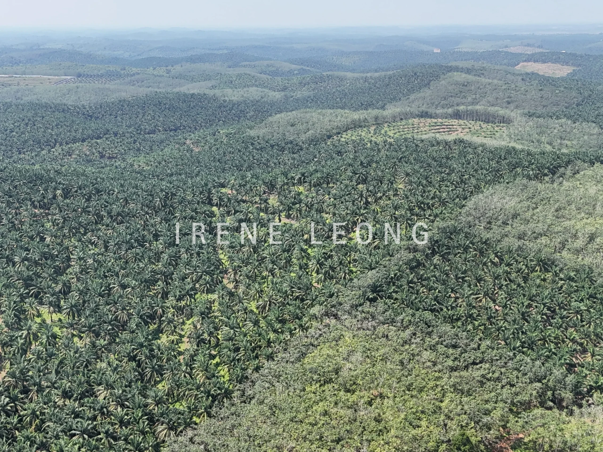 DJI_20250704115244_0085_D-min