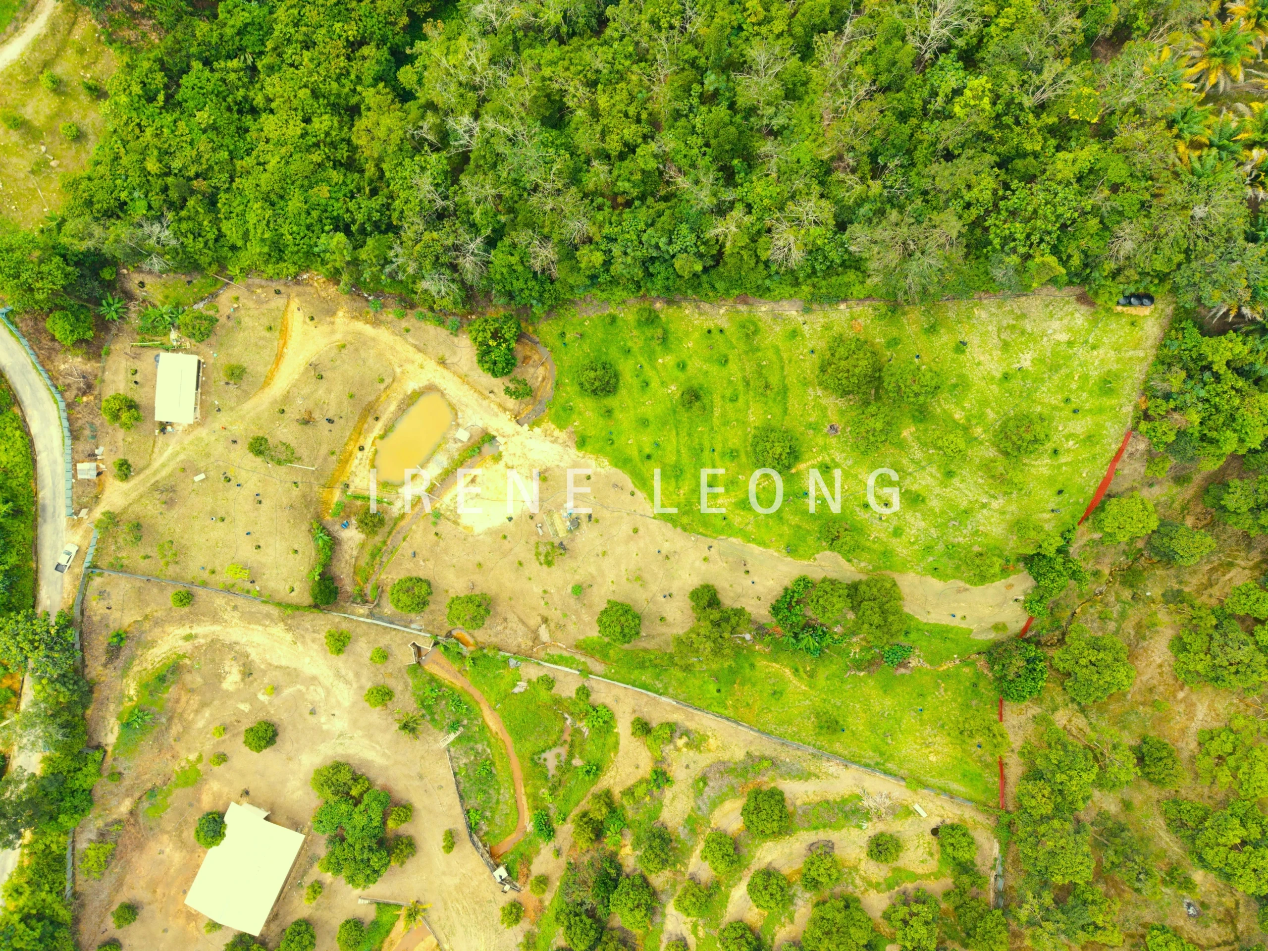 DJI_20260121141017_0067_D