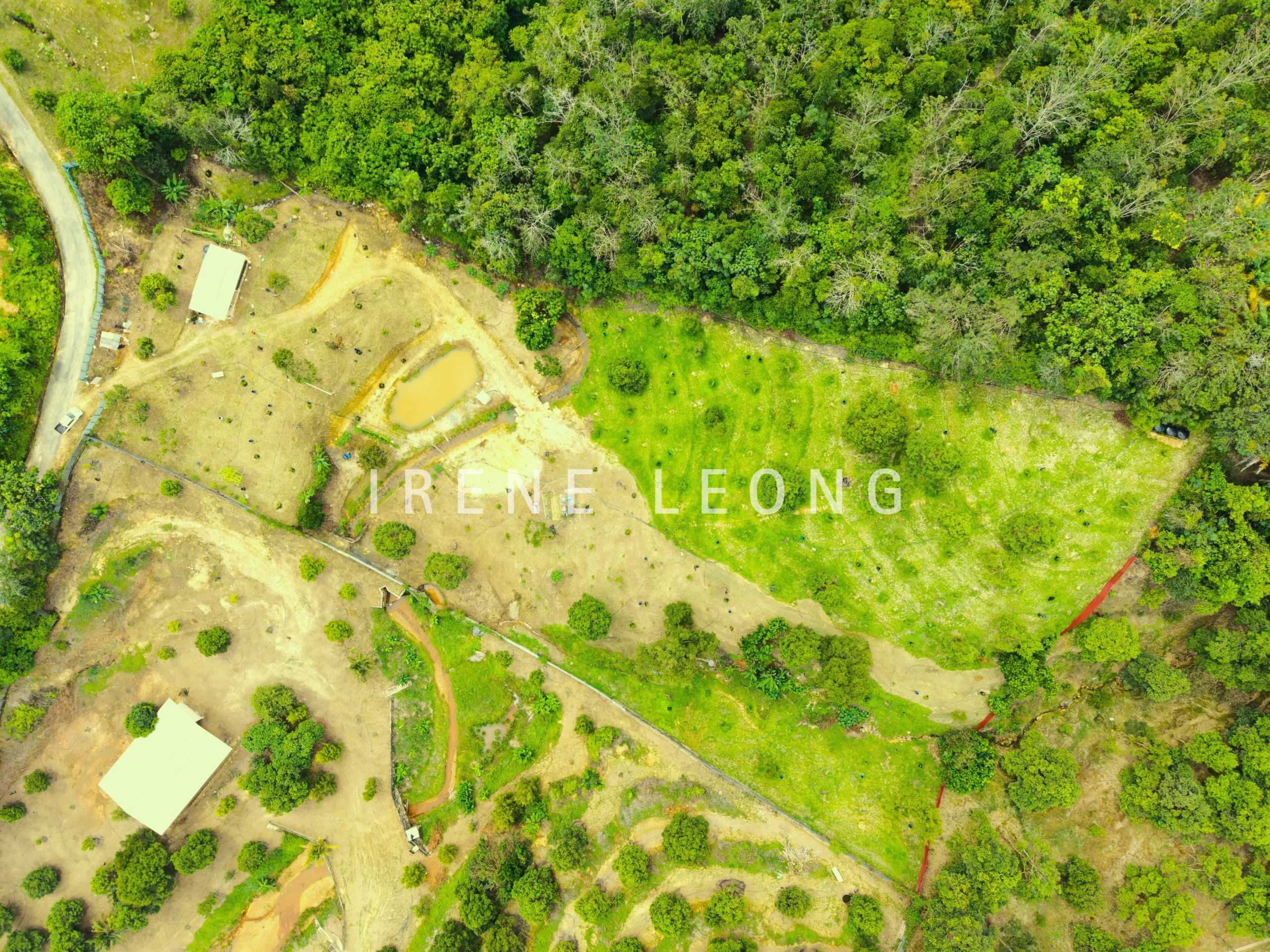 DJI_20260121141028_0068_D