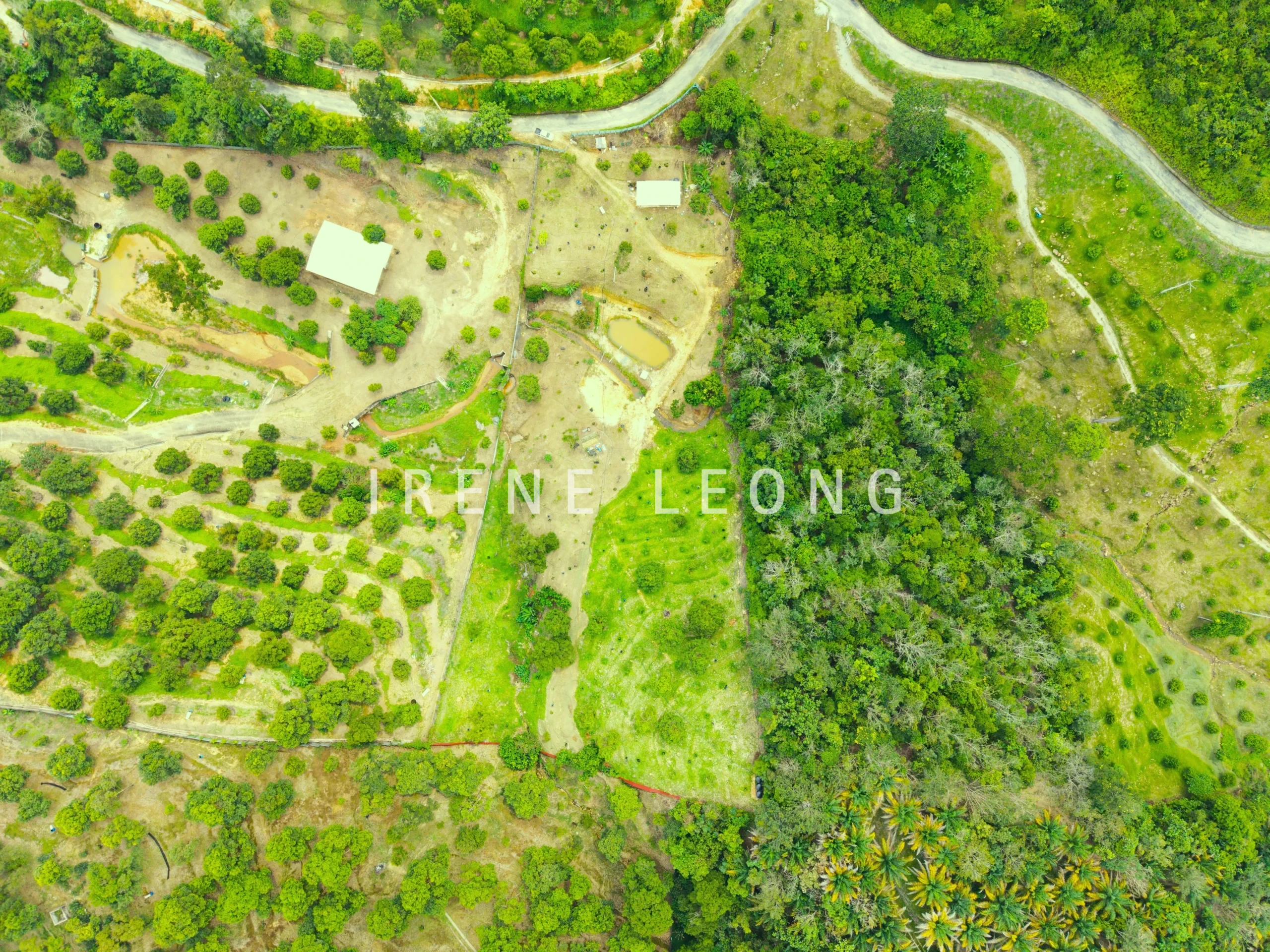 DJI_20260121141050_0069_D
