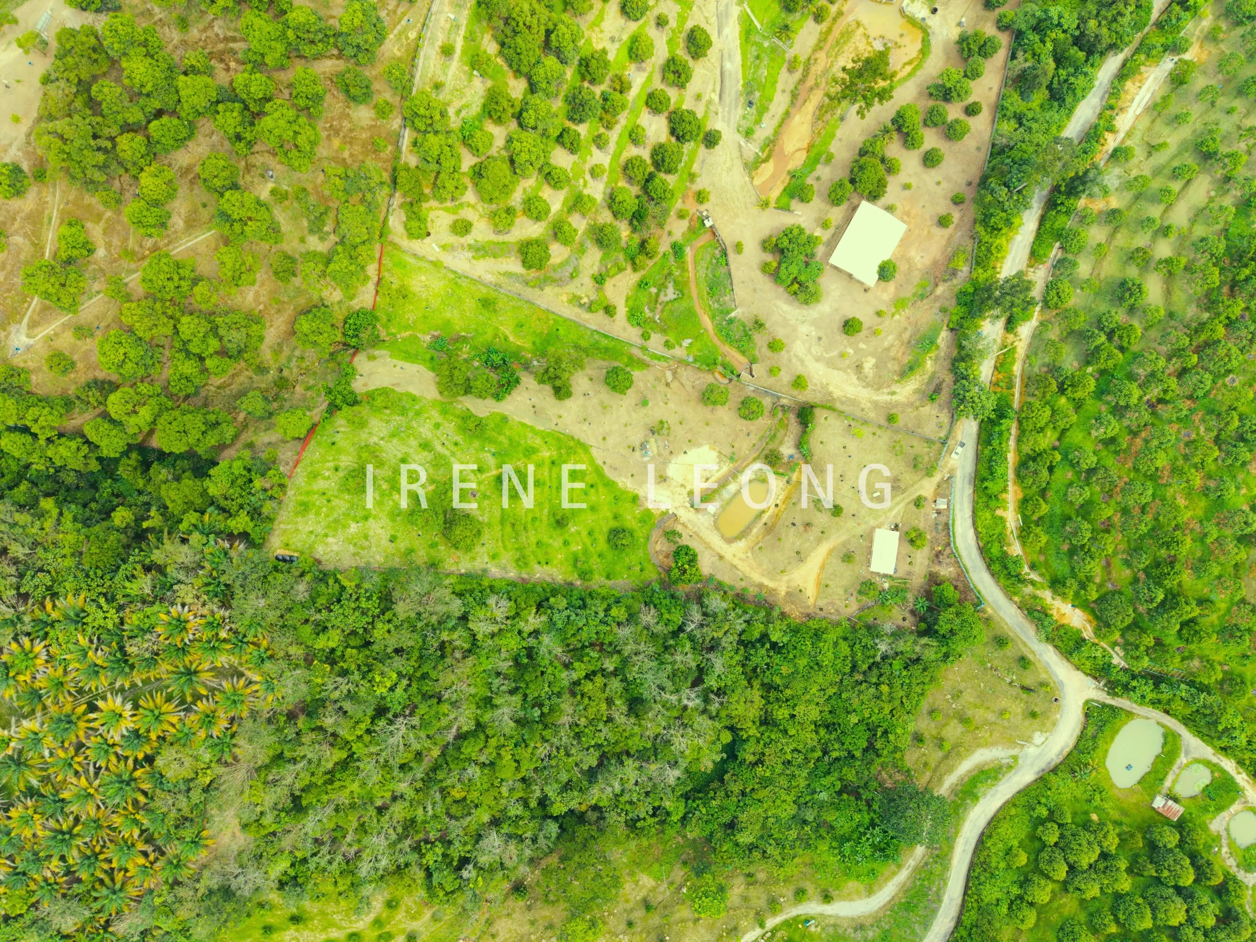 DJI_20260121141058_0070_D