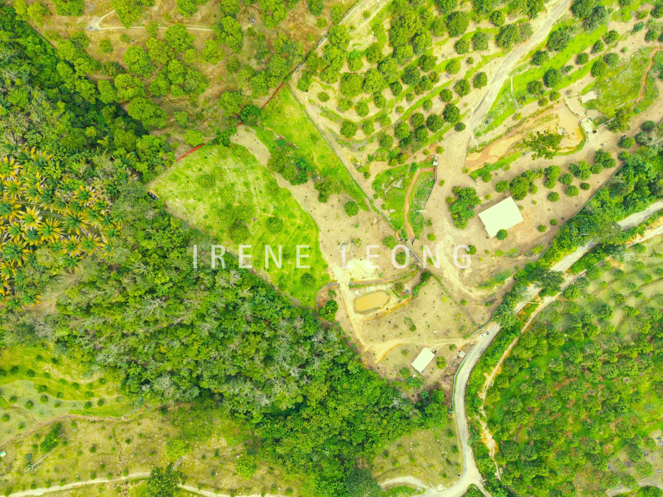 DJI_20260121141106_0071_D