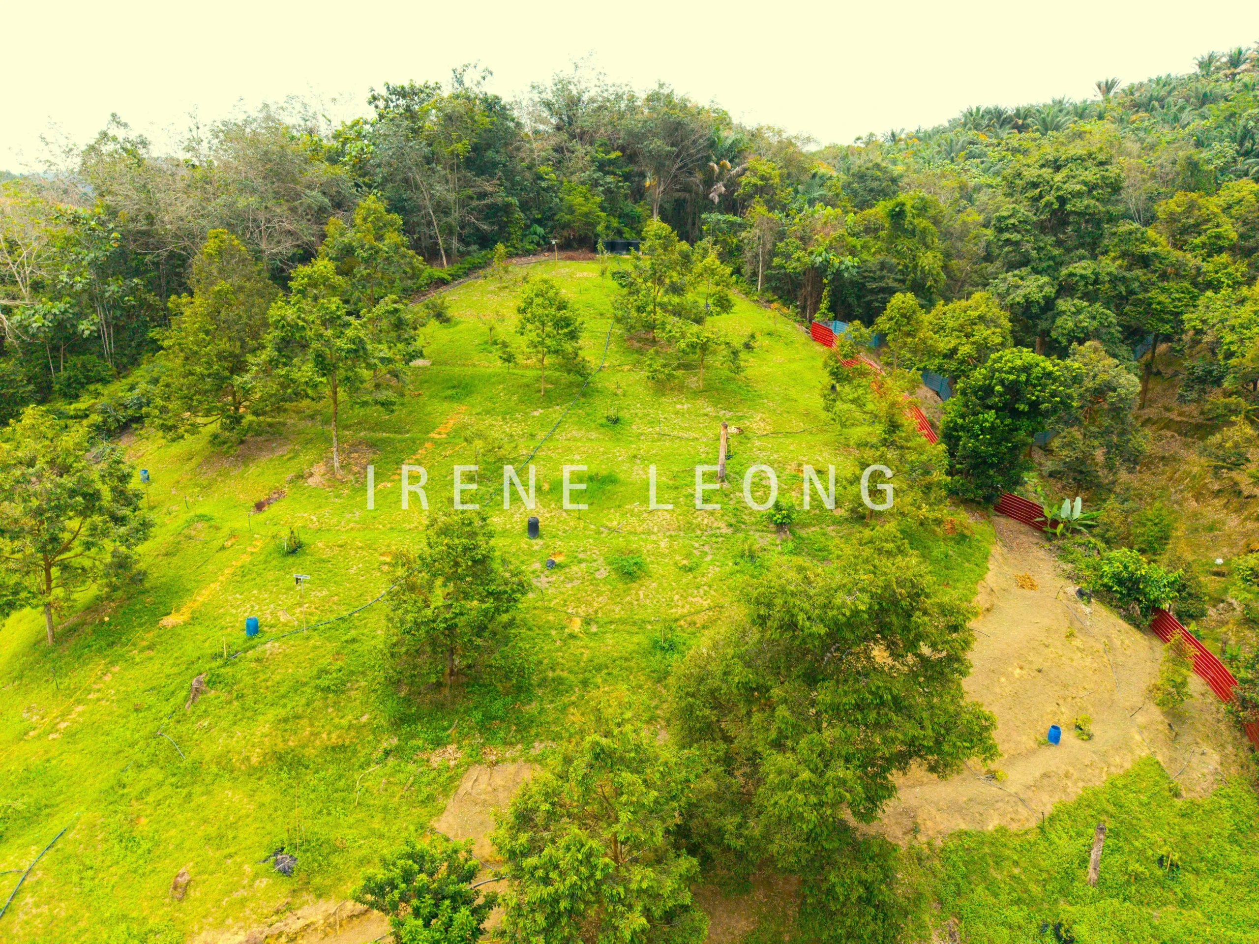 DJI_20260121141233_0072_D
