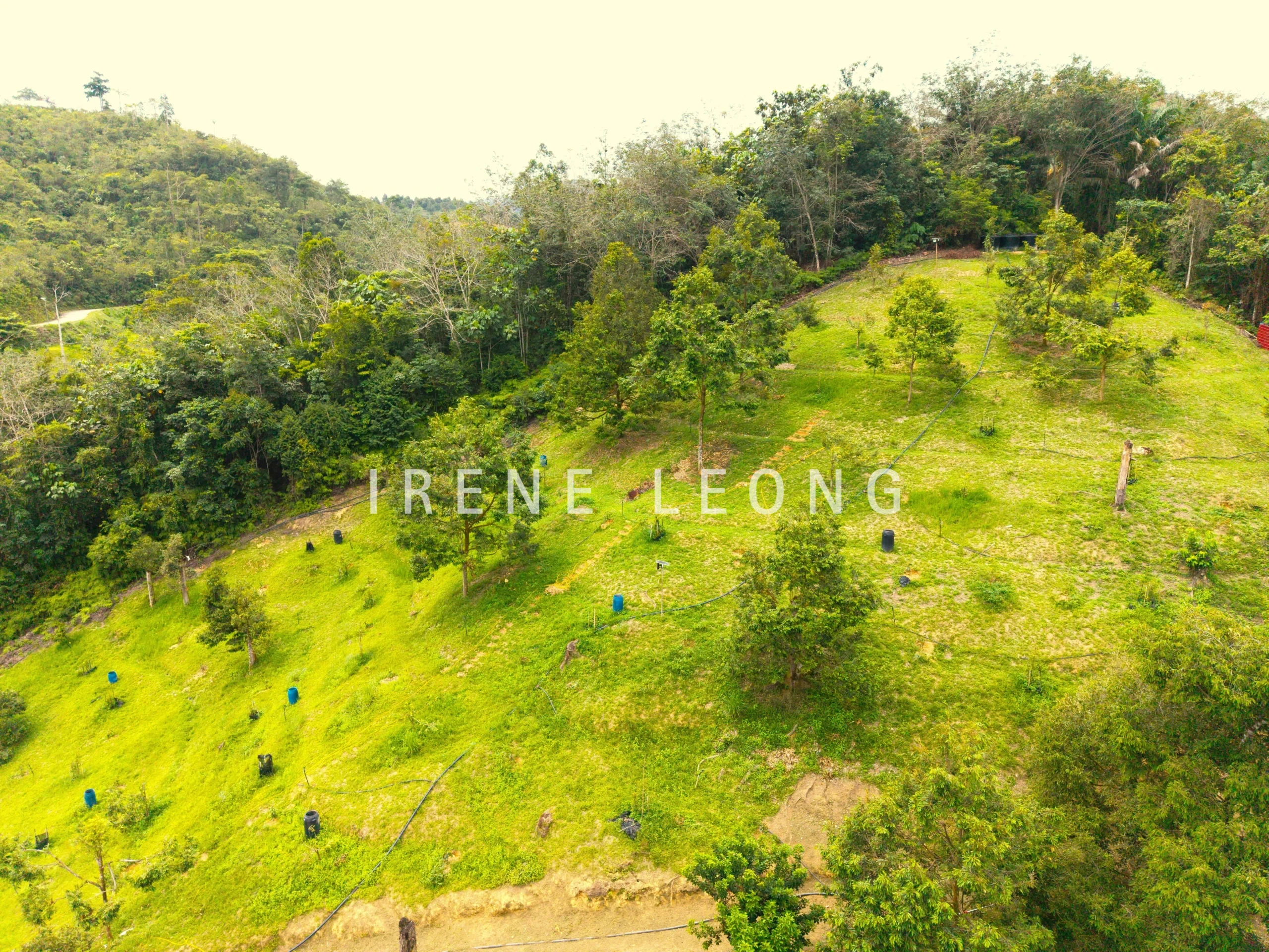 DJI_20260121141243_0073_D