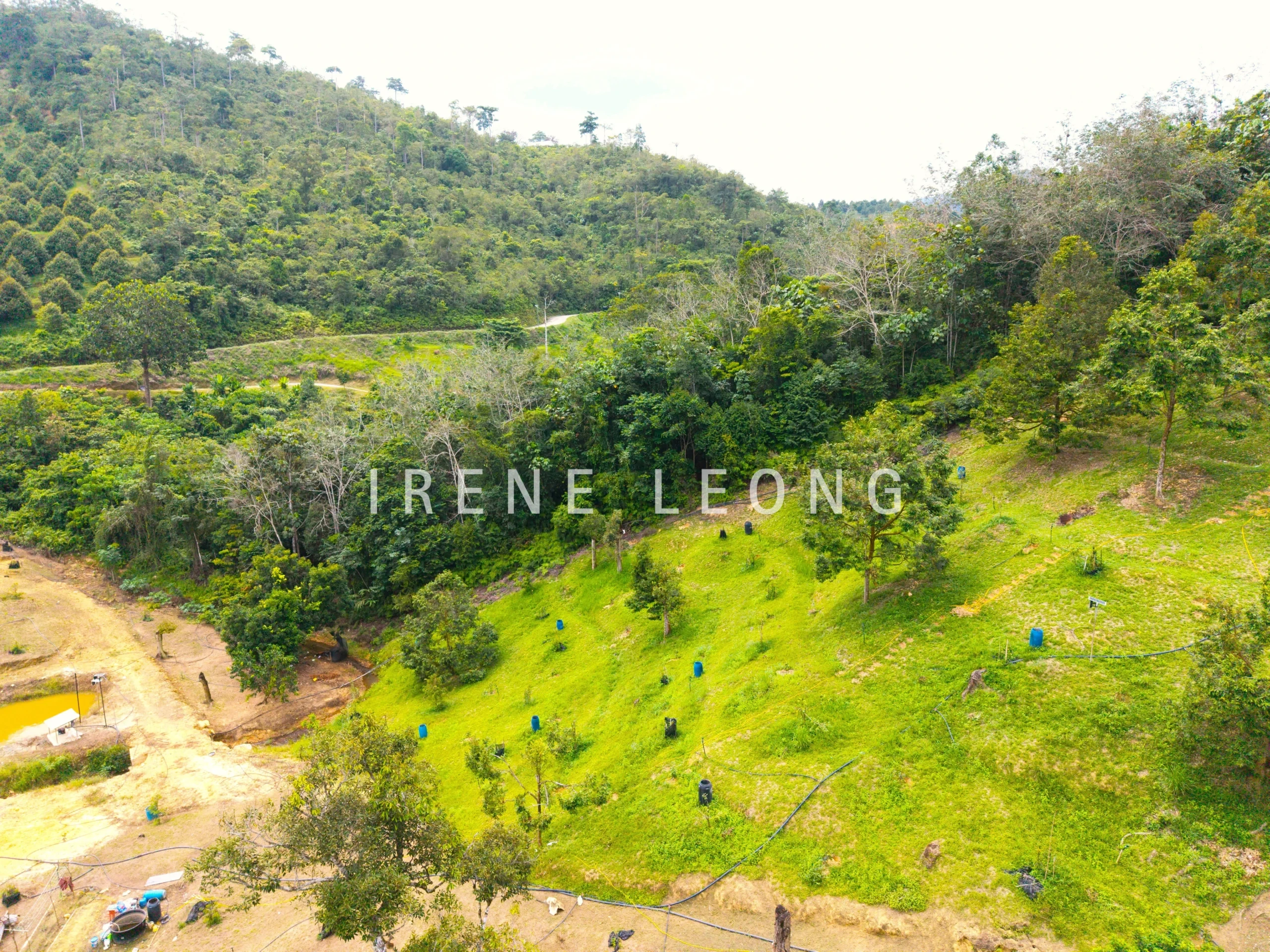 DJI_20260121141253_0074_D