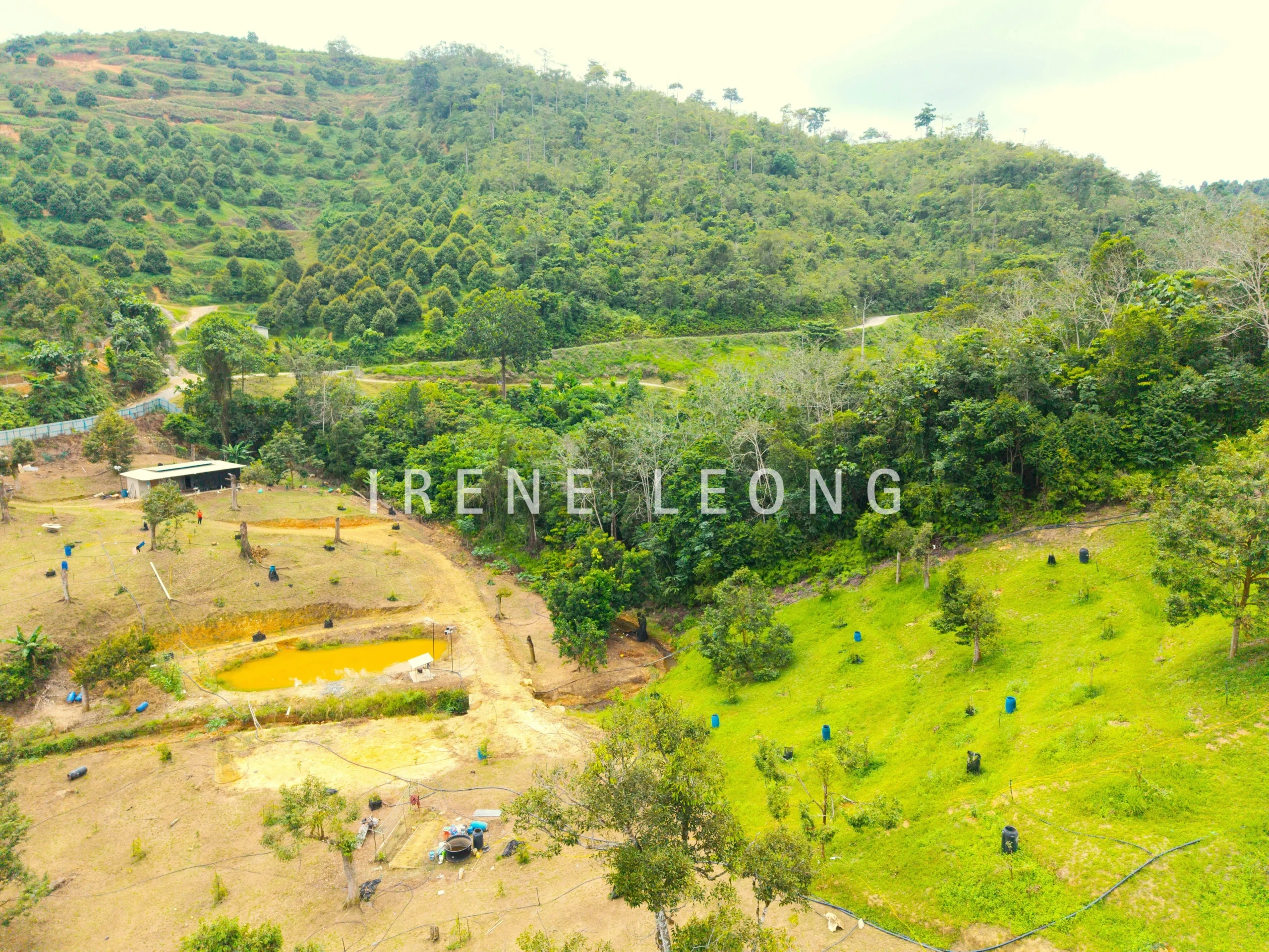 DJI_20260121141301_0075_D