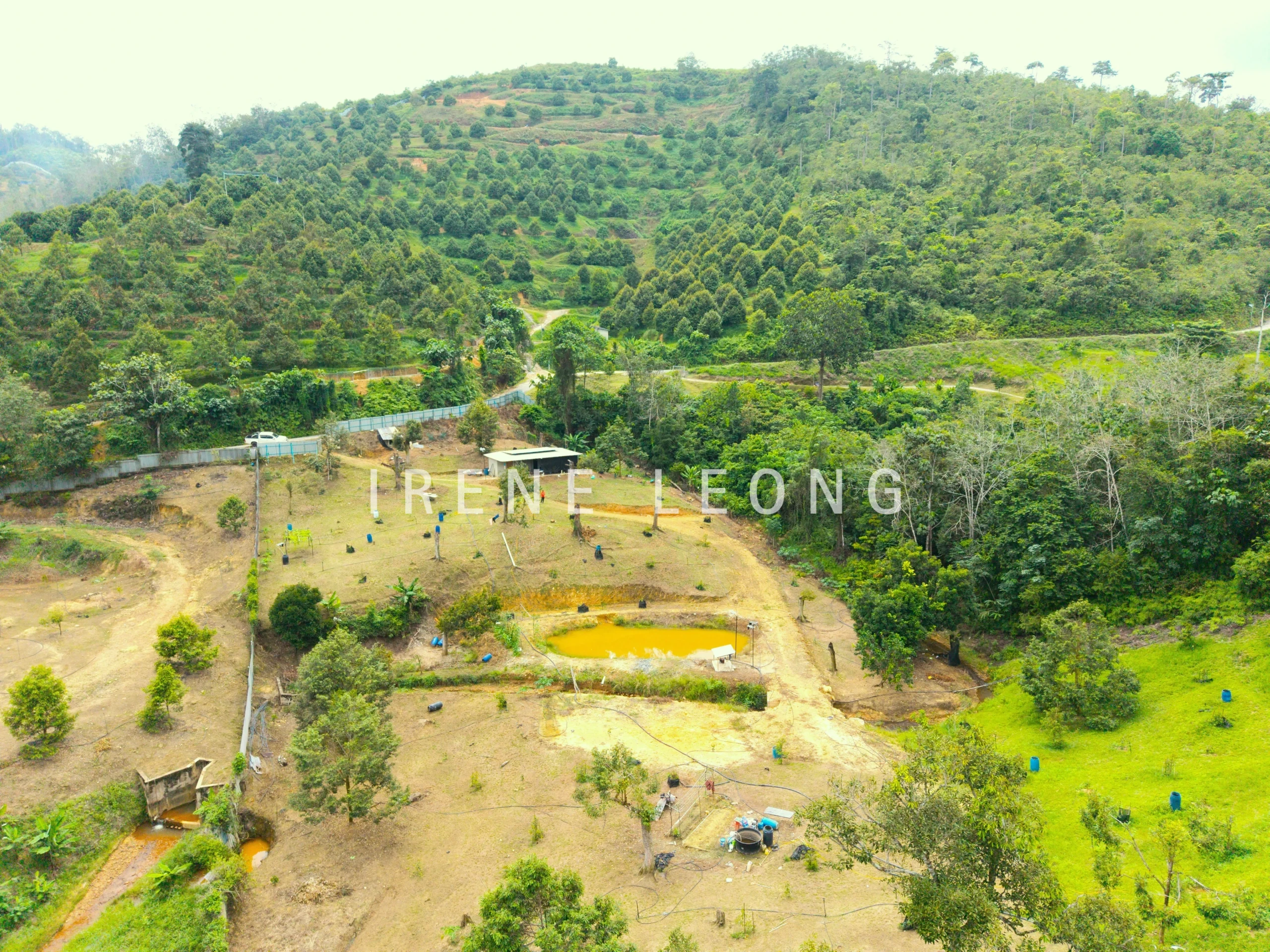 DJI_20260121141310_0076_D