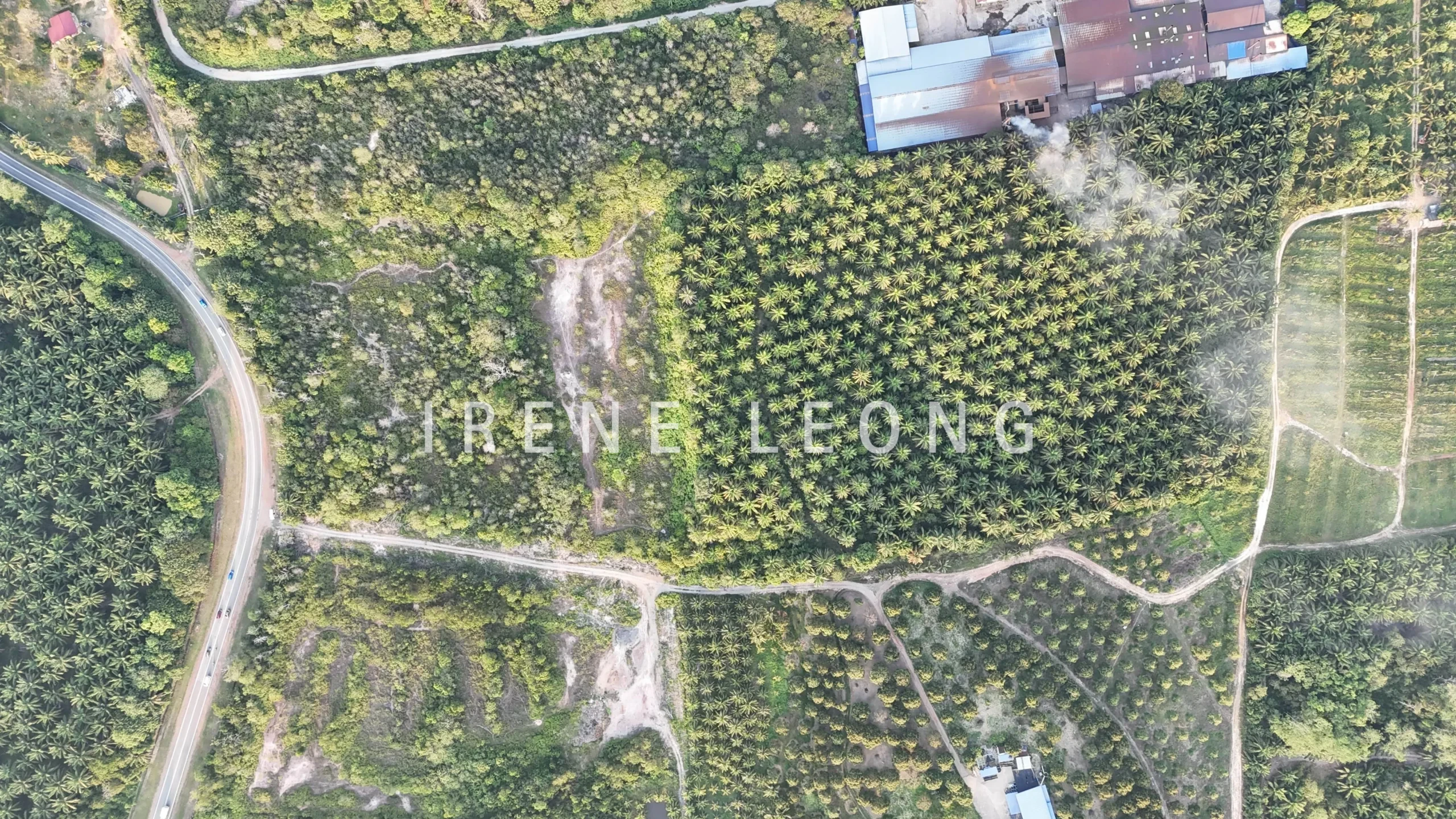 DJI_20260325184542_0707_D-crushimage