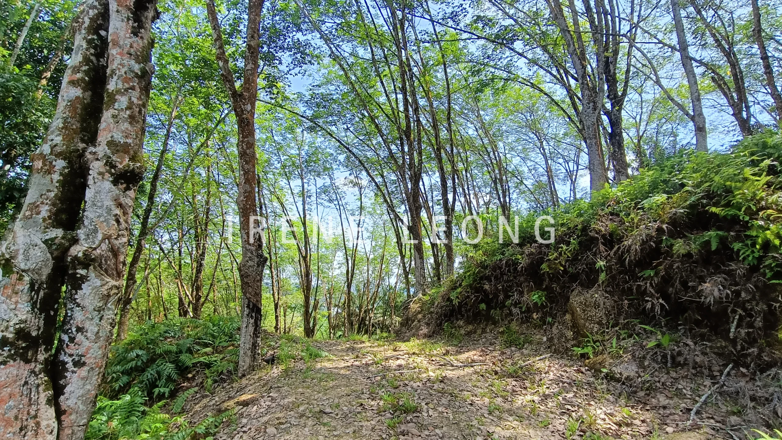 IMG20260325144831_88896993