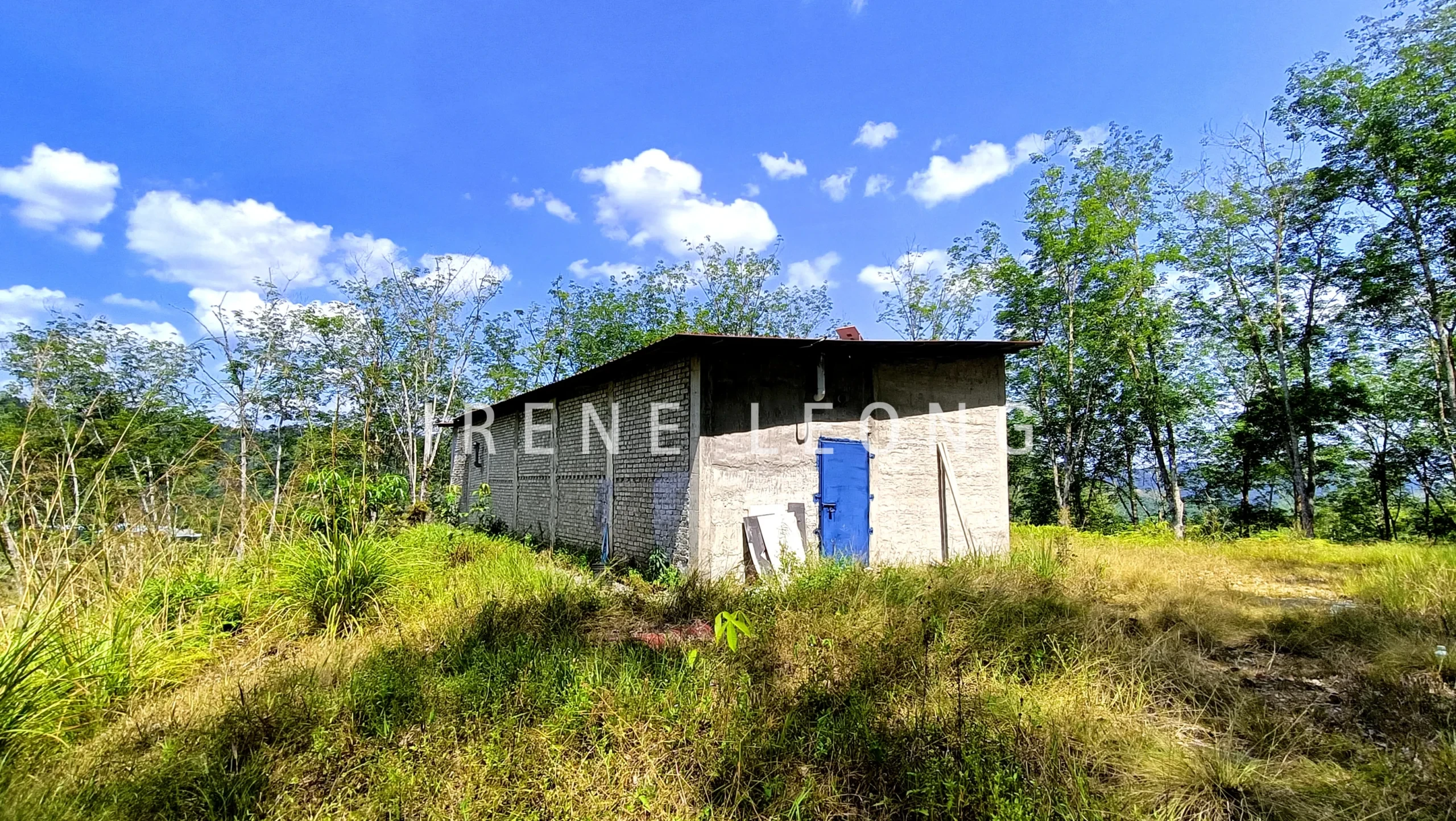 IMG20260325145005