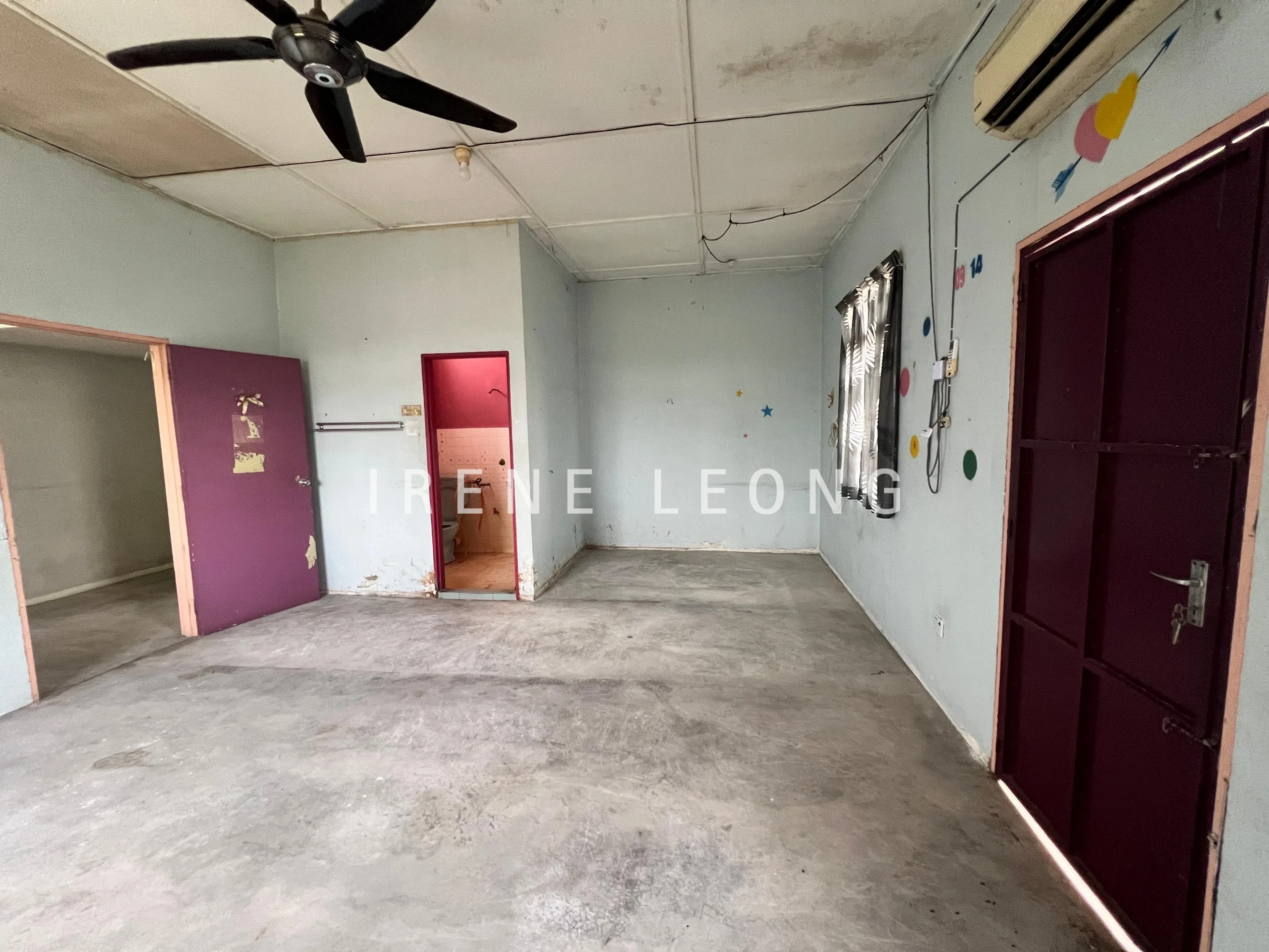 WhatsApp Image 2026-01-29 at 11.35