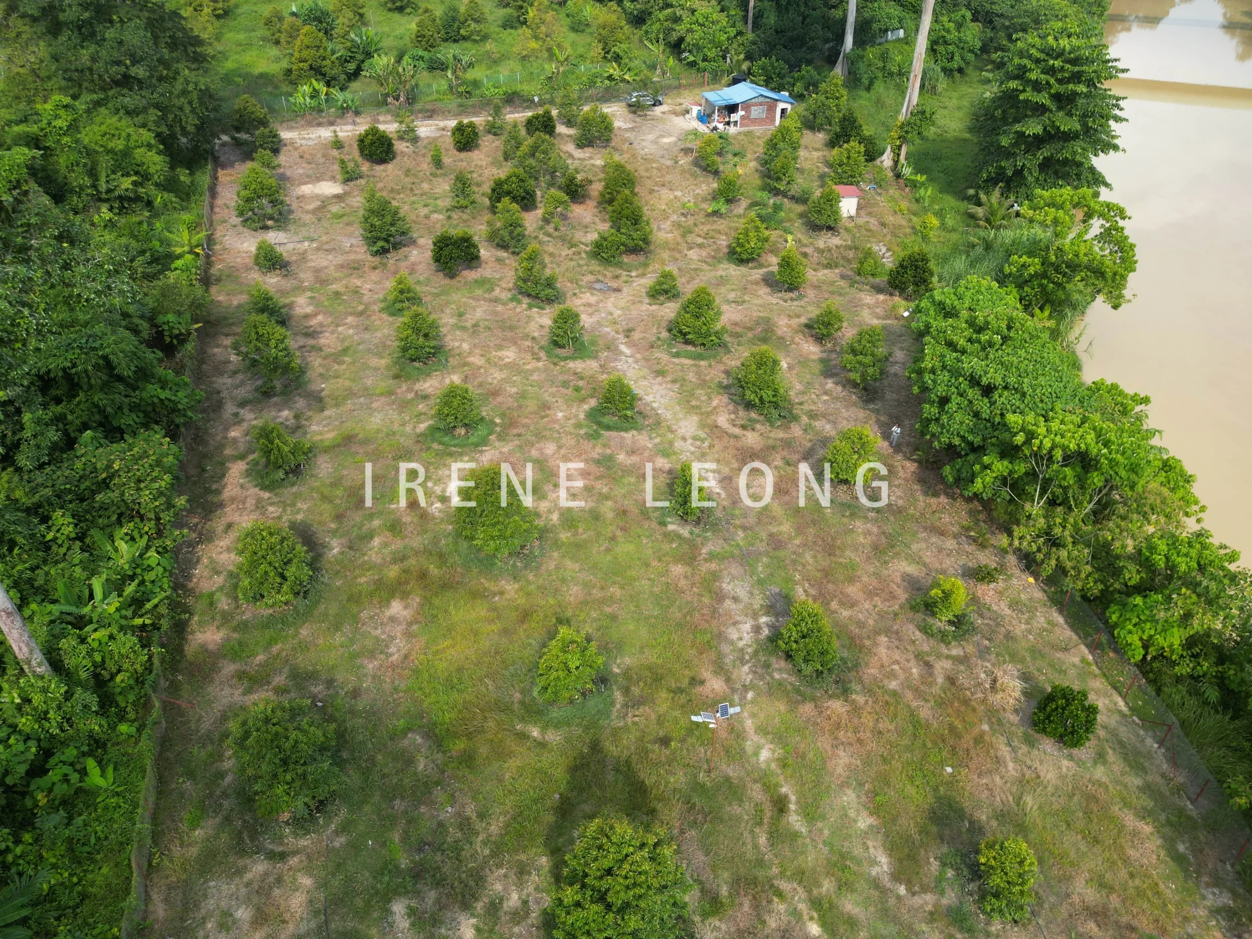 DJI_0012