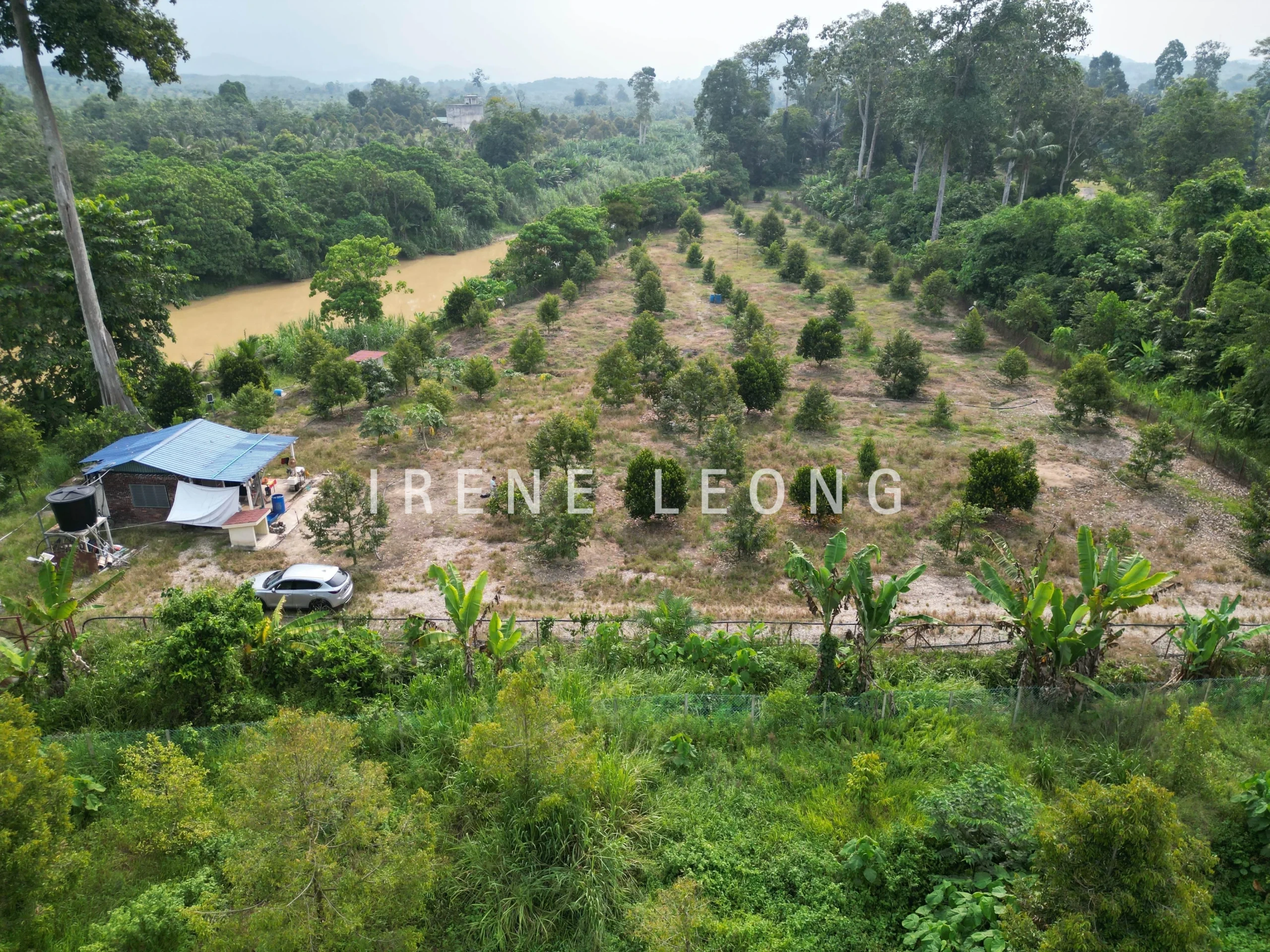 DJI_0021