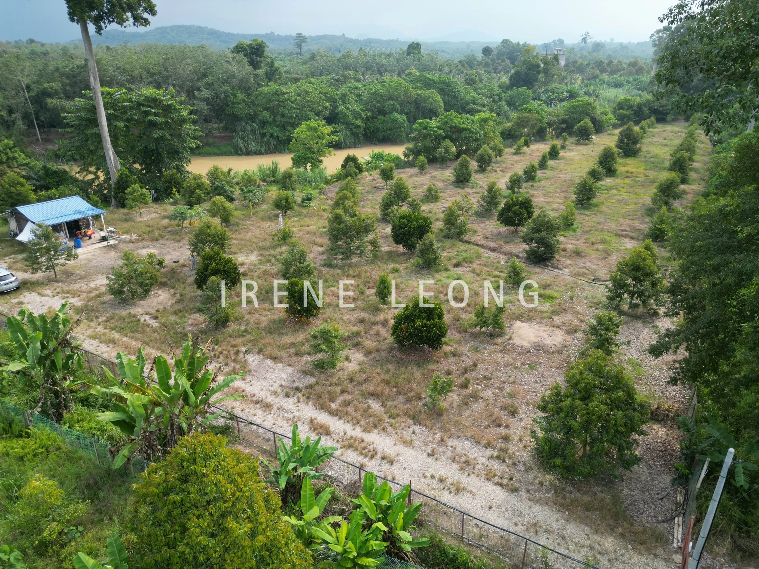 DJI_0029
