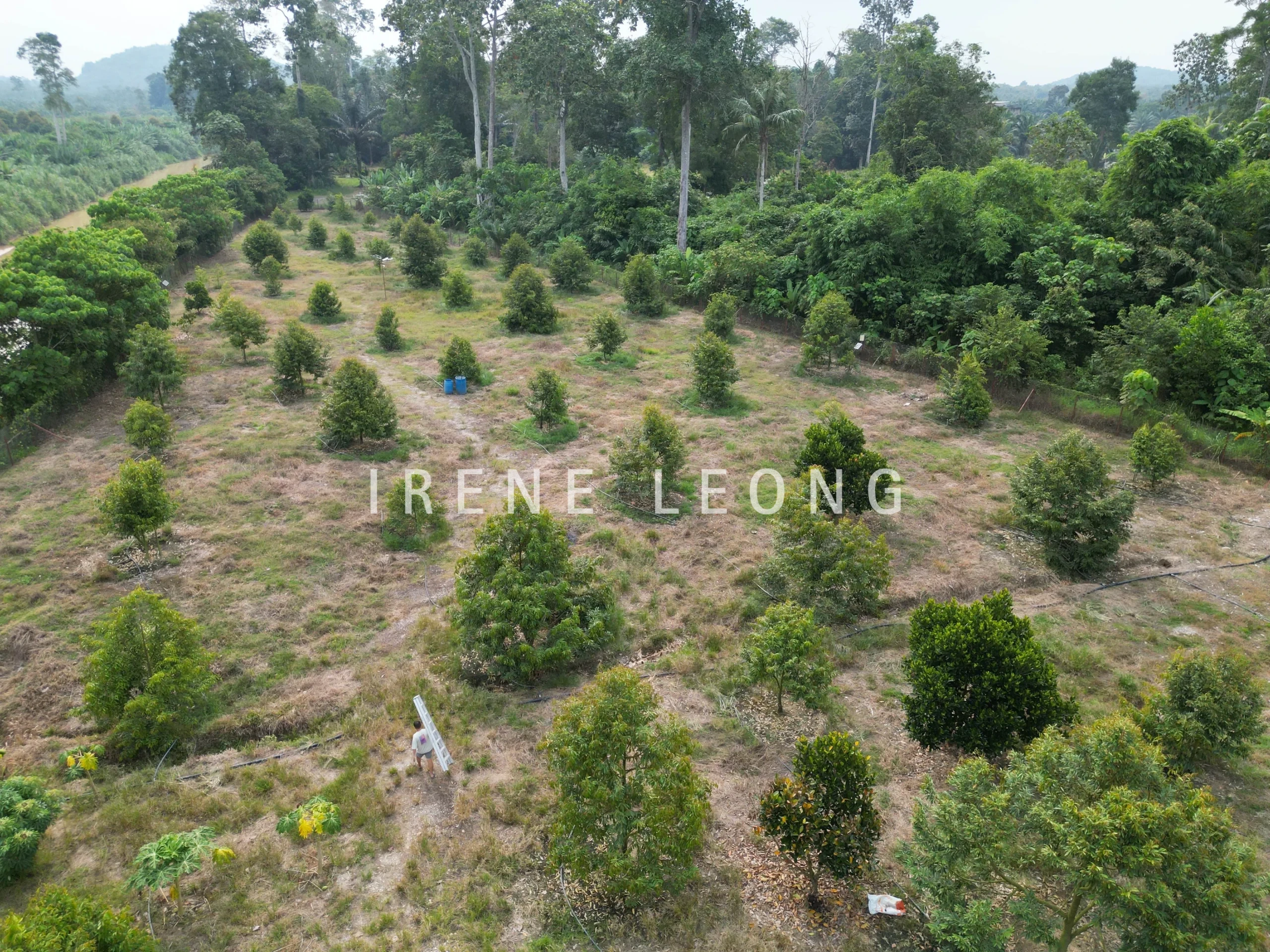 DJI_0034
