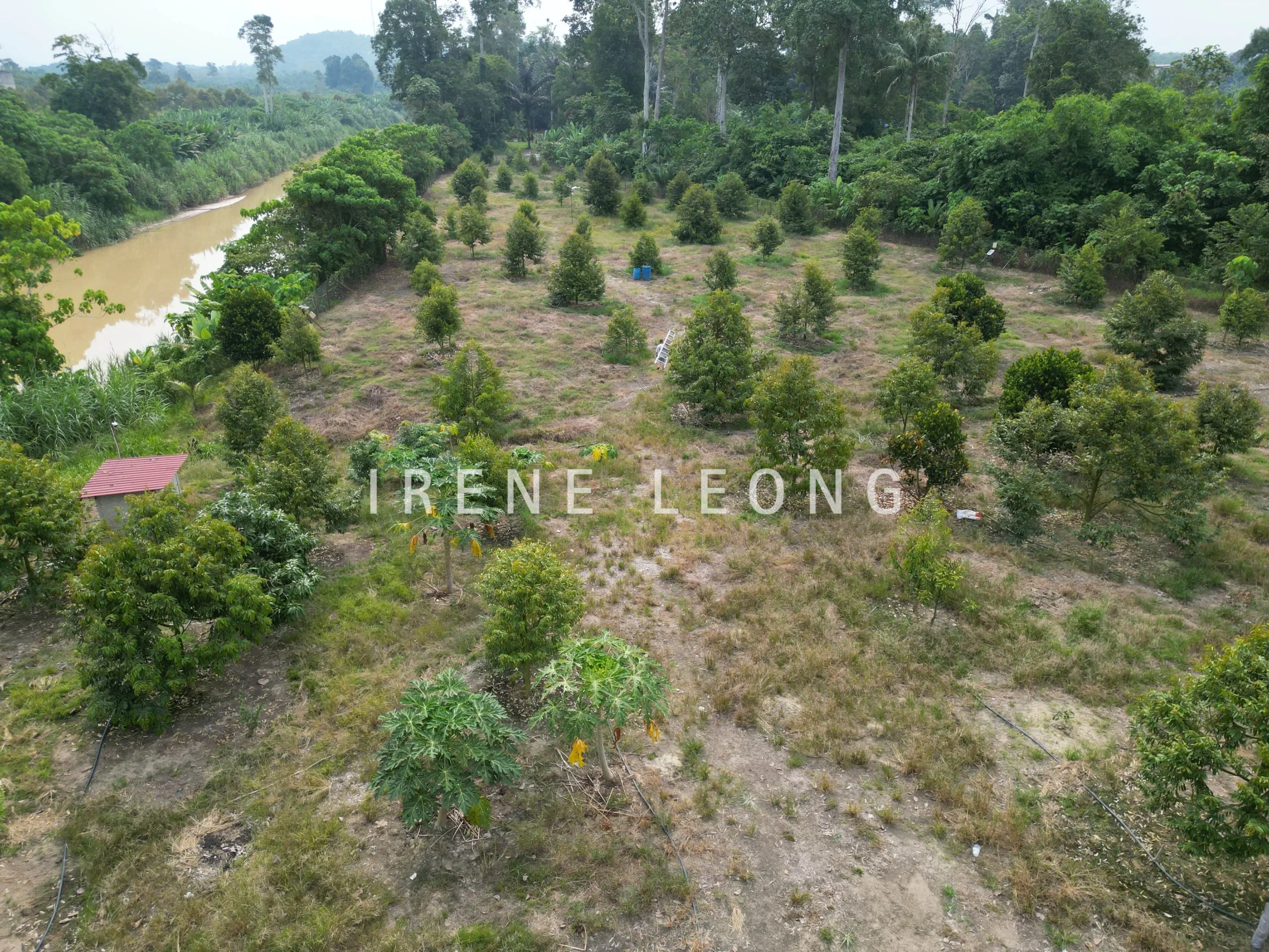 DJI_0037