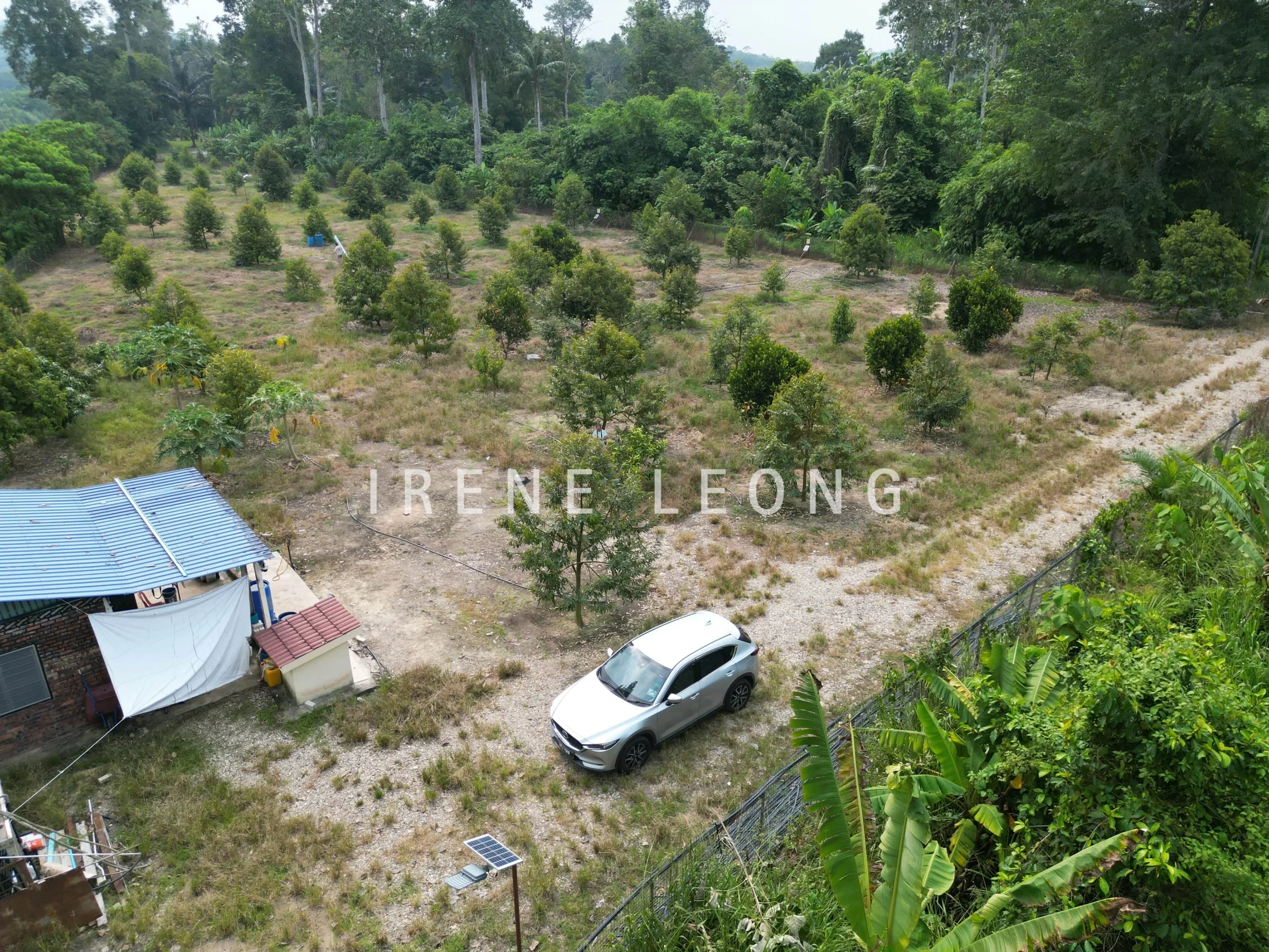 DJI_0040